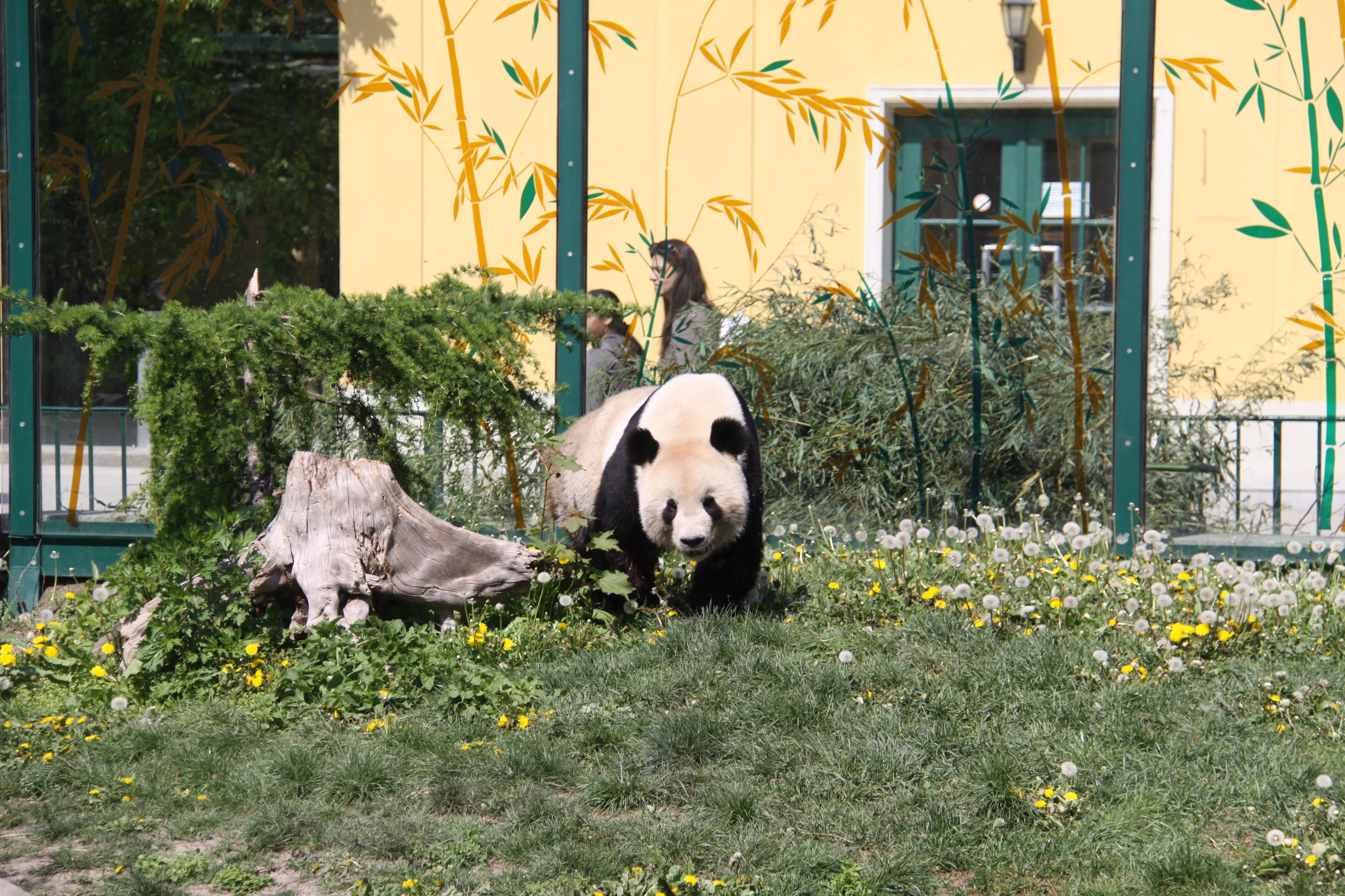 Tiergarten Schönbrunn