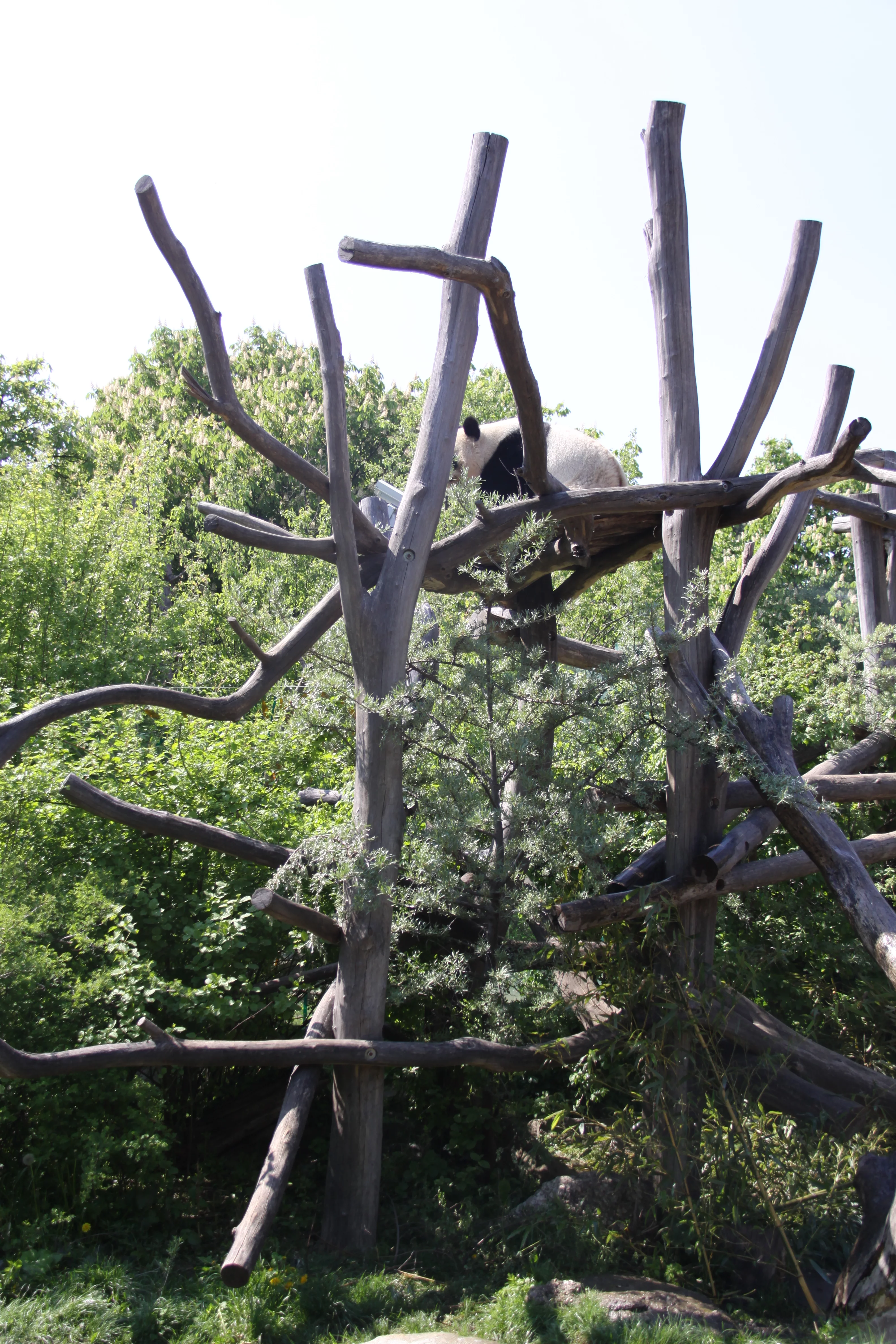 Tiergarten Schönbrunn
