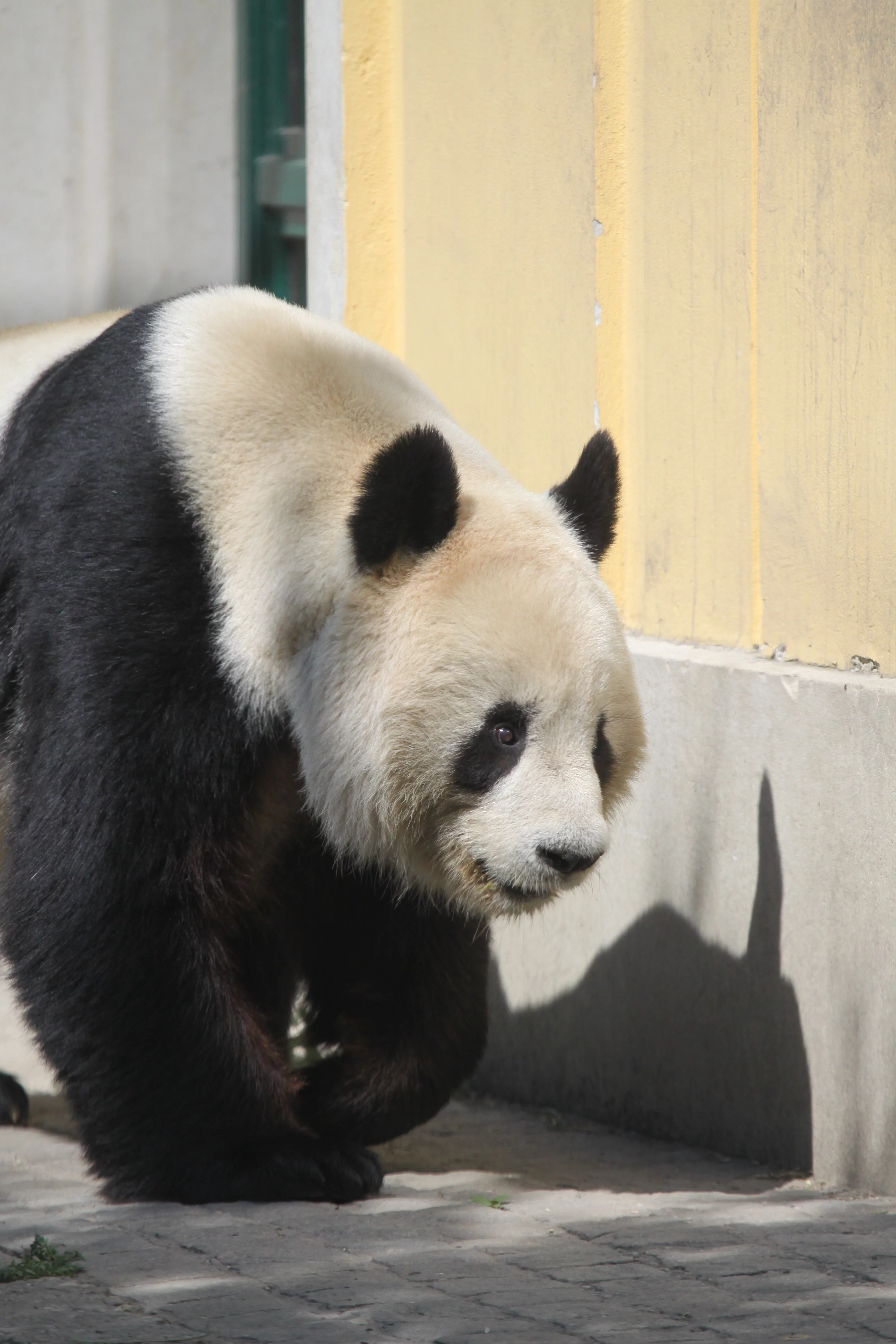 Tiergarten Schönbrunn