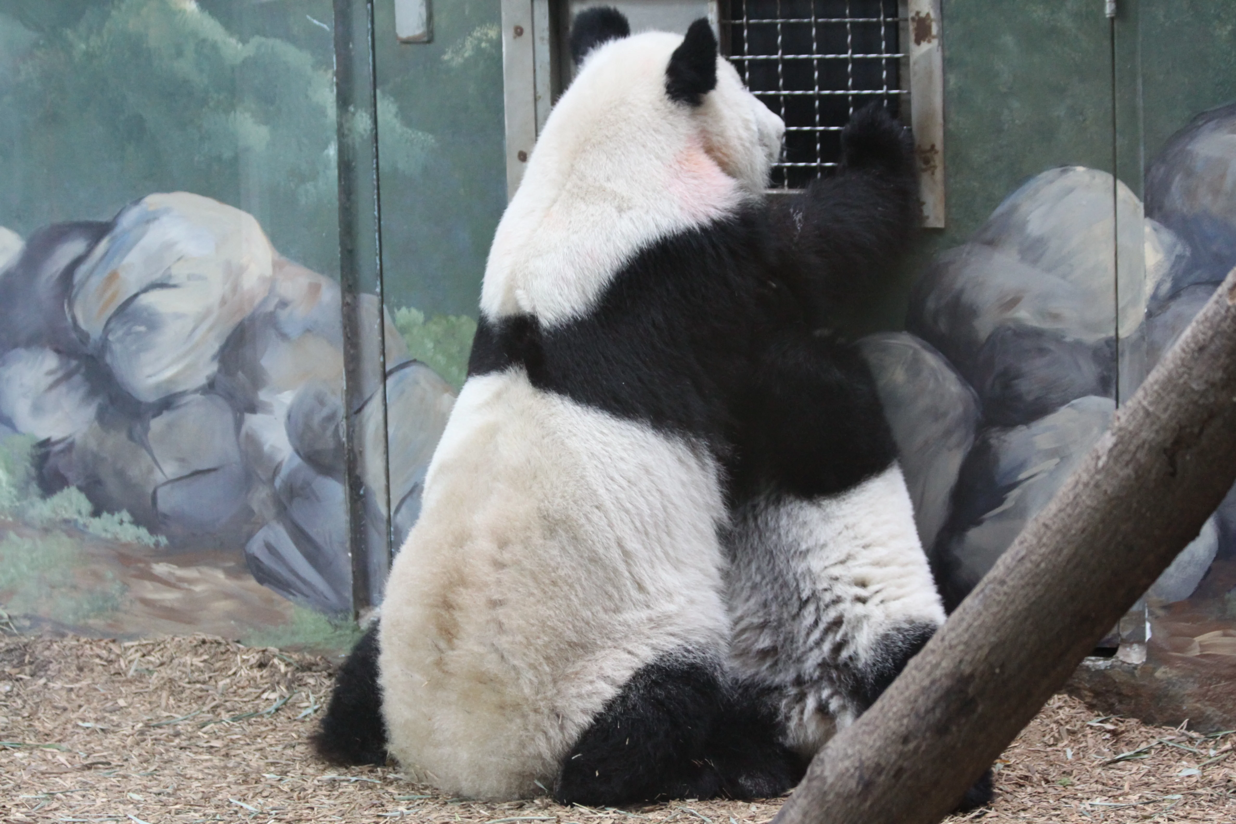 Zoo Atlanta