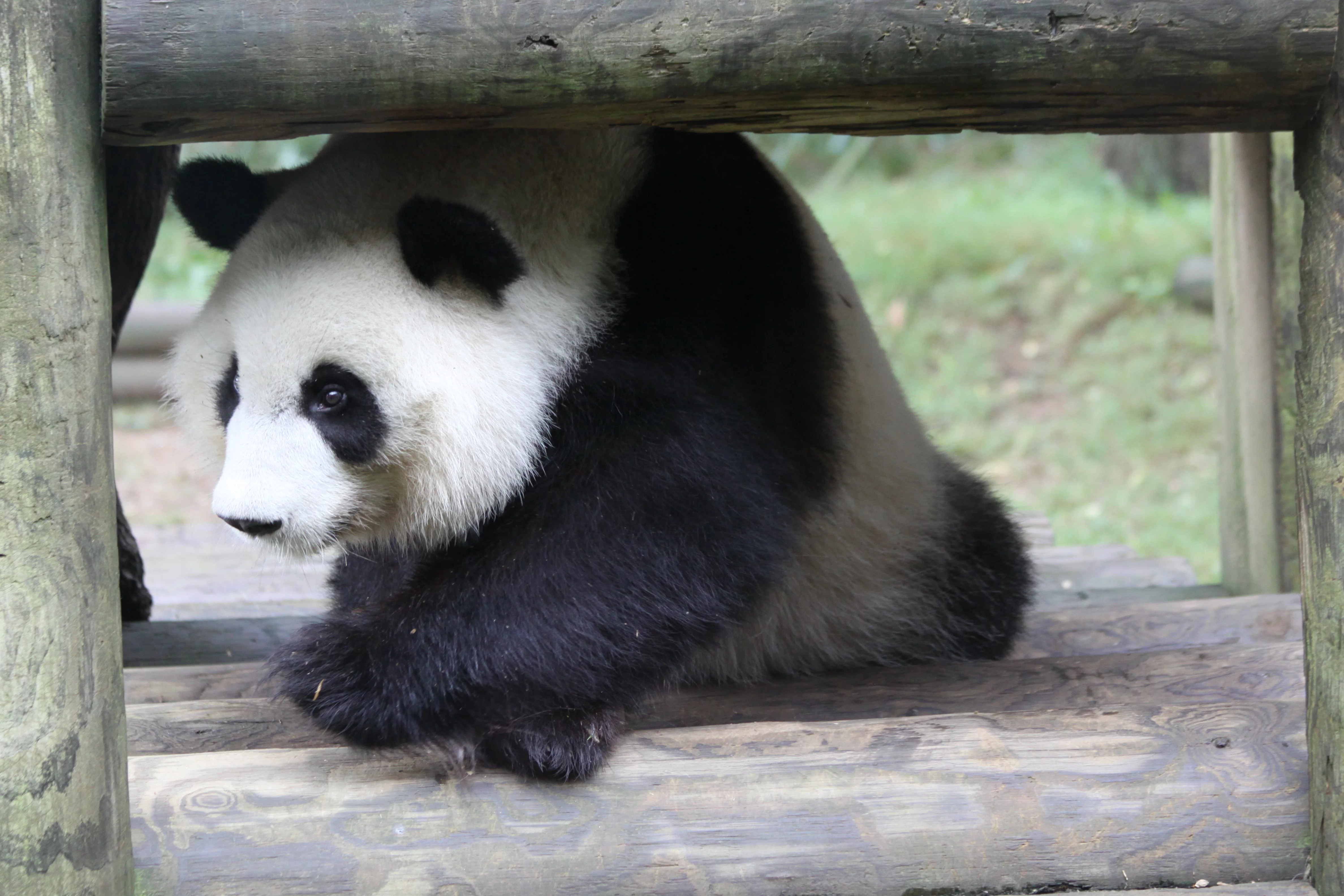 Zoo Atlanta