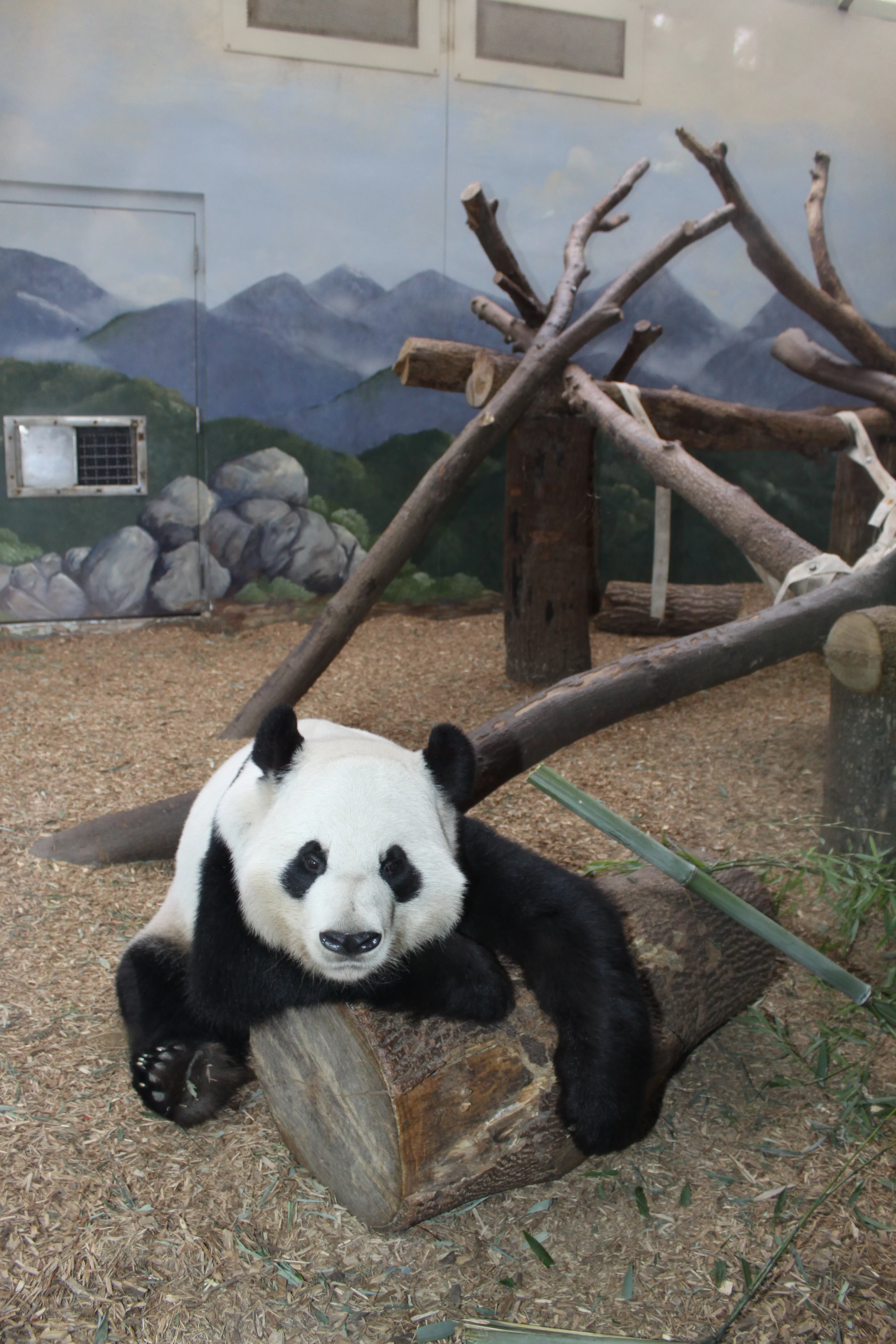 Zoo Atlanta