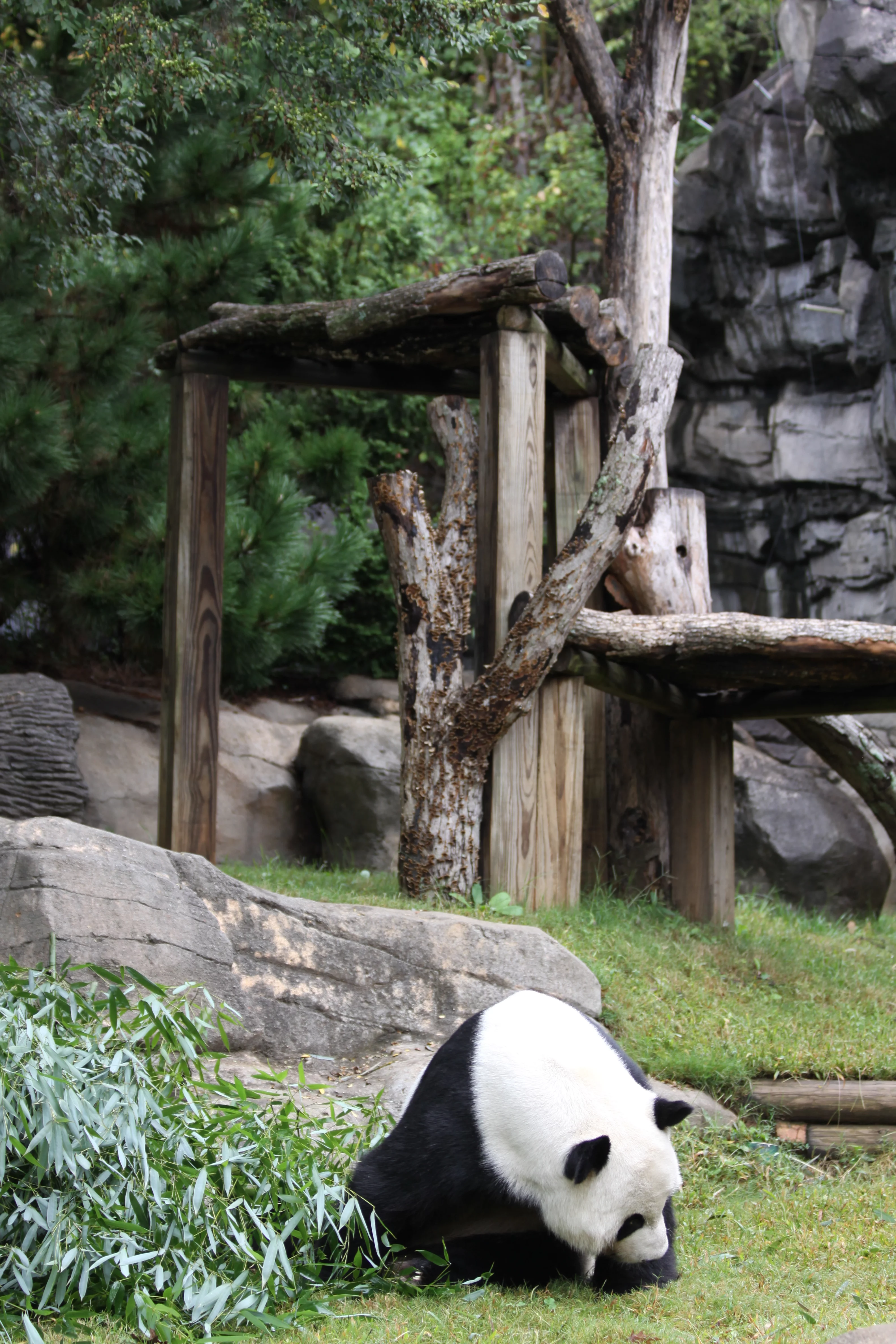 Zoo Atlanta