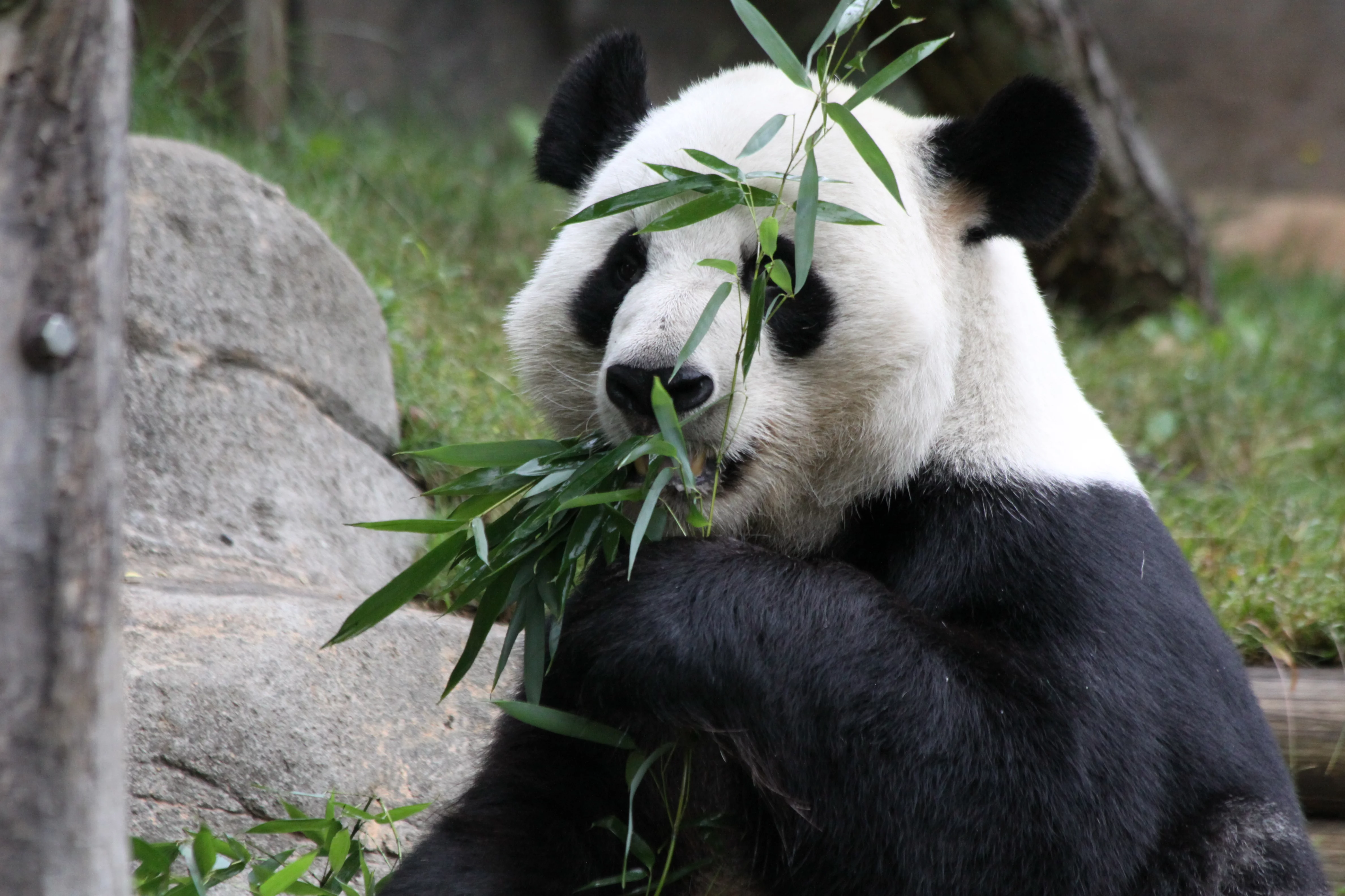 Zoo Atlanta