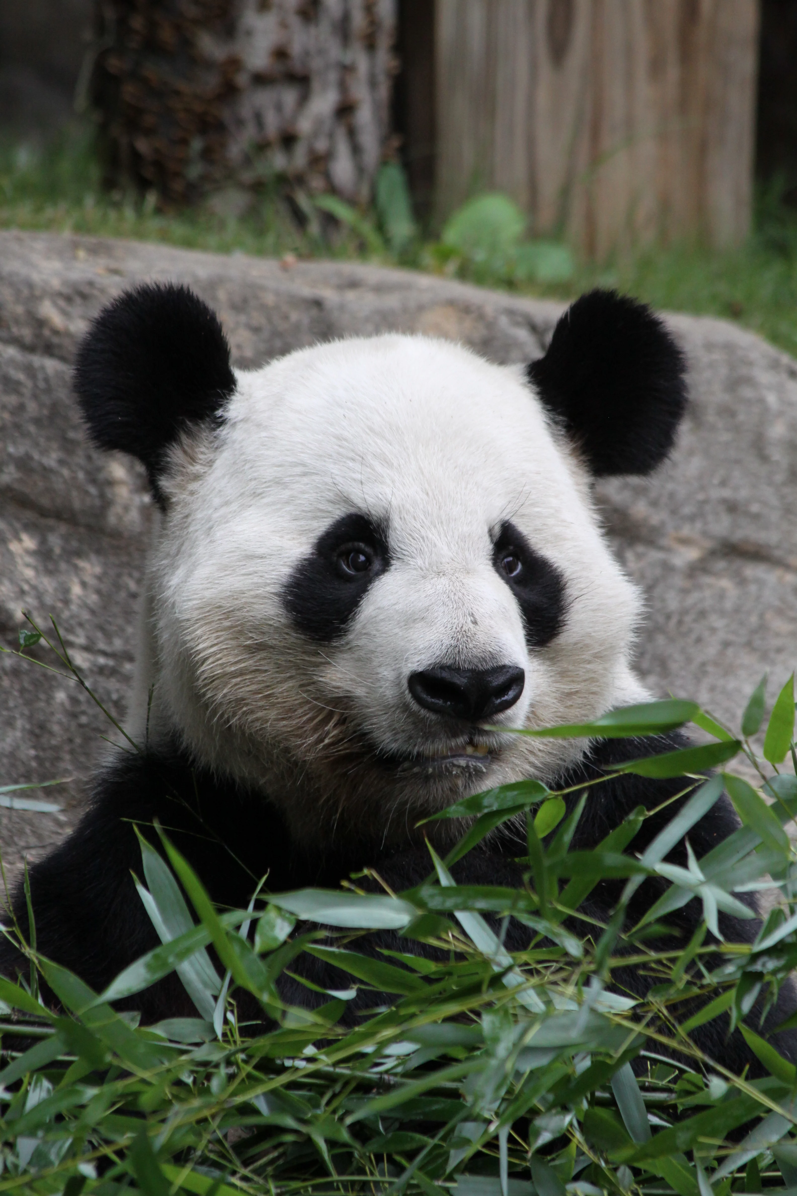 Zoo Atlanta