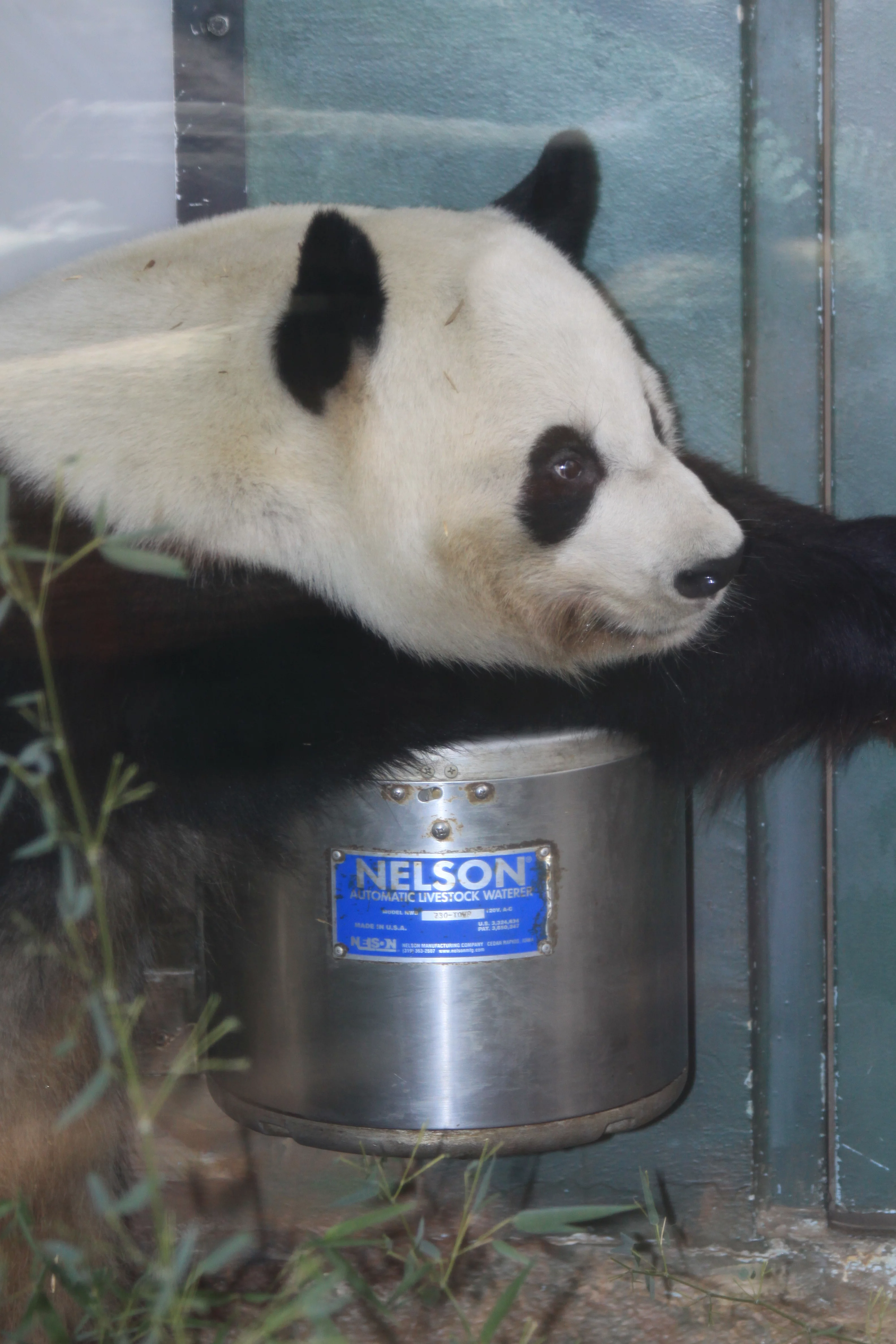 Zoo Atlanta