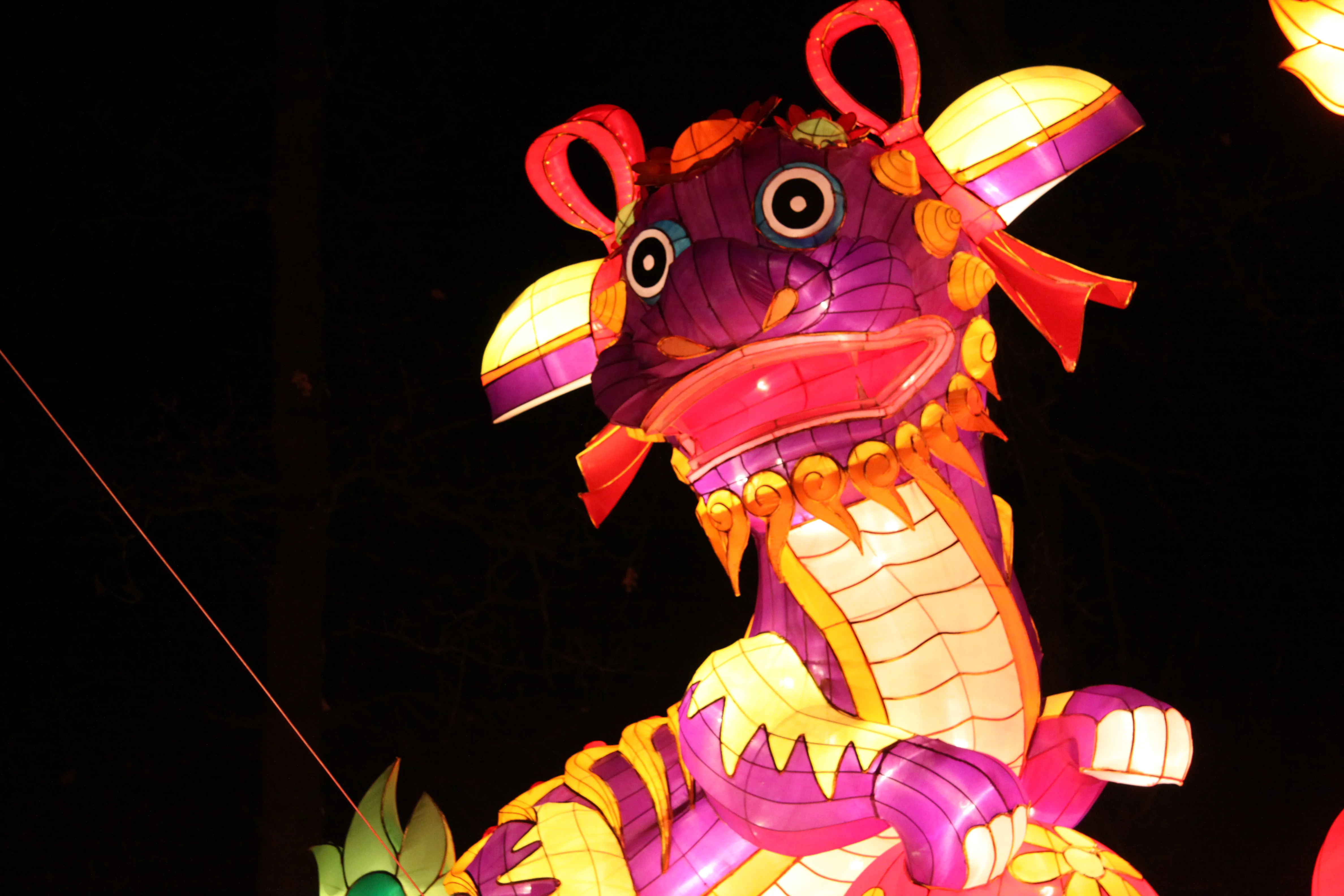 China Festival of Lights