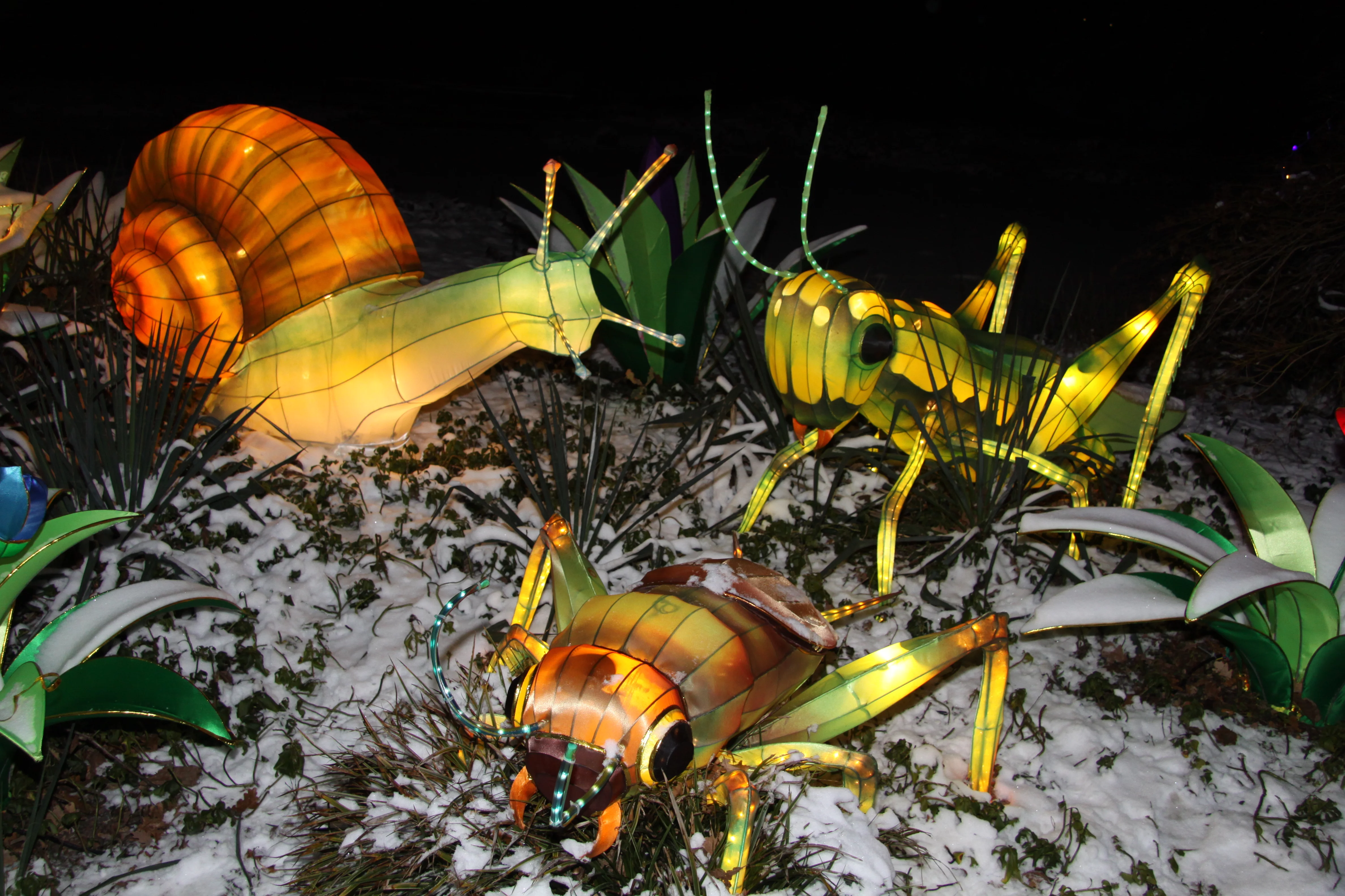 China Festival of Lights