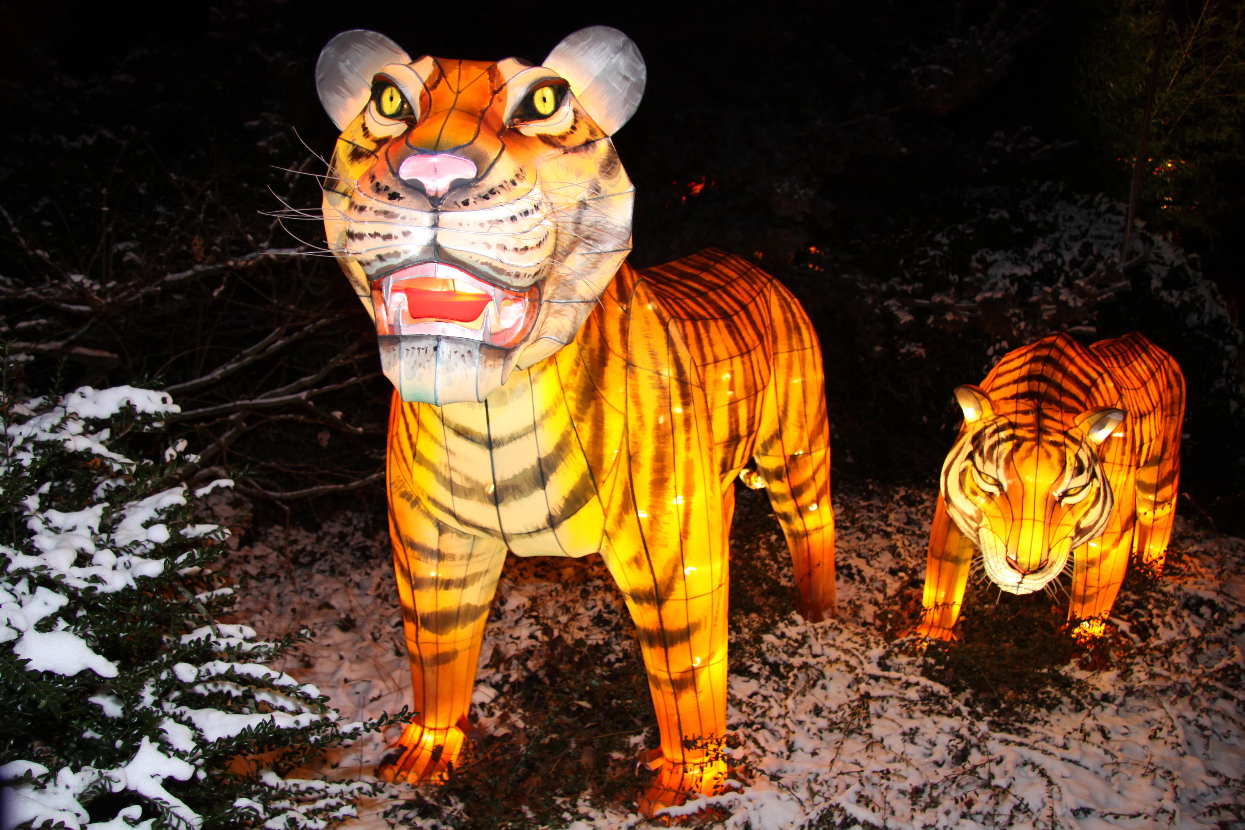 China Festival of Lights