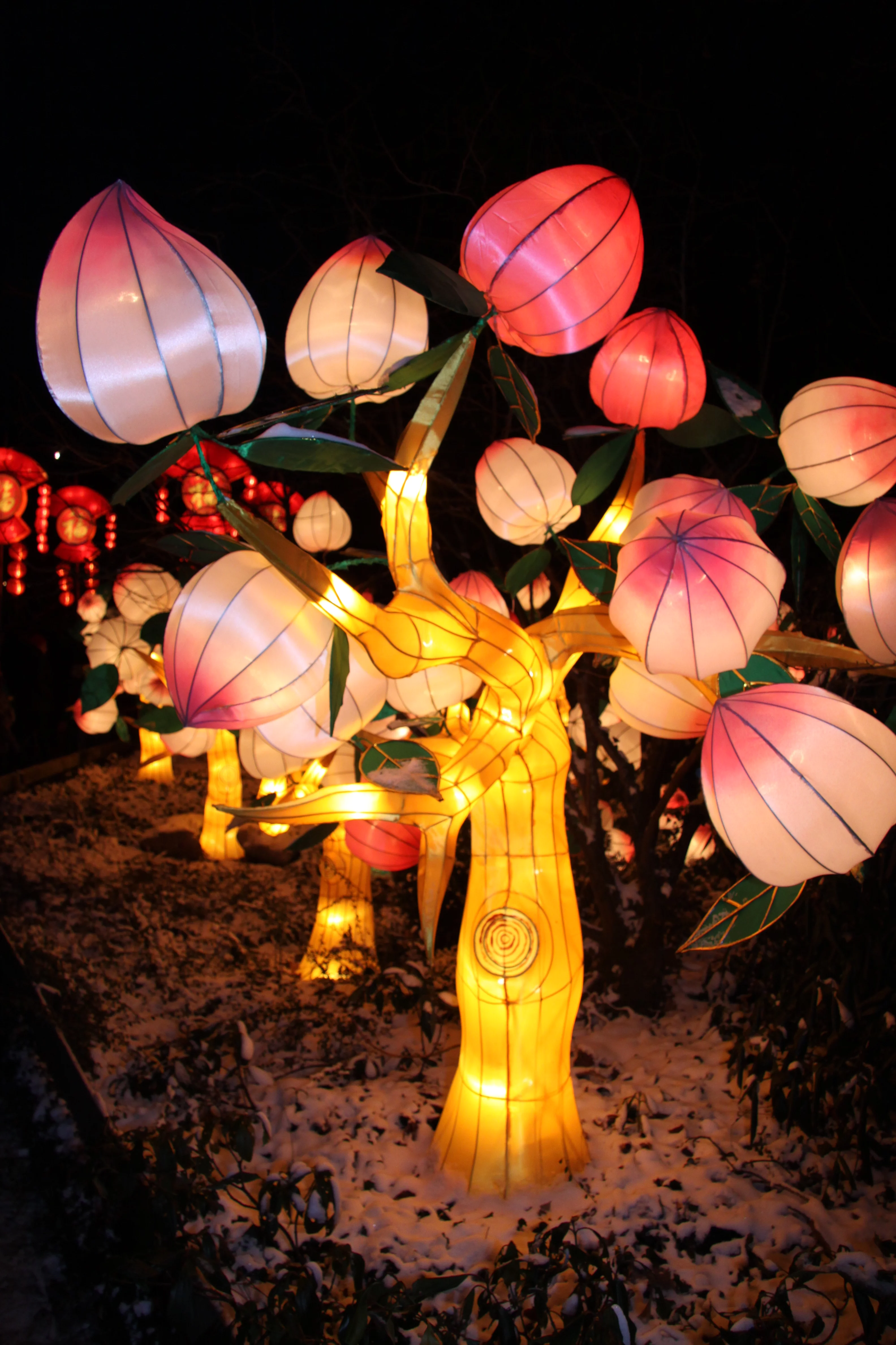 China Festival of Lights
