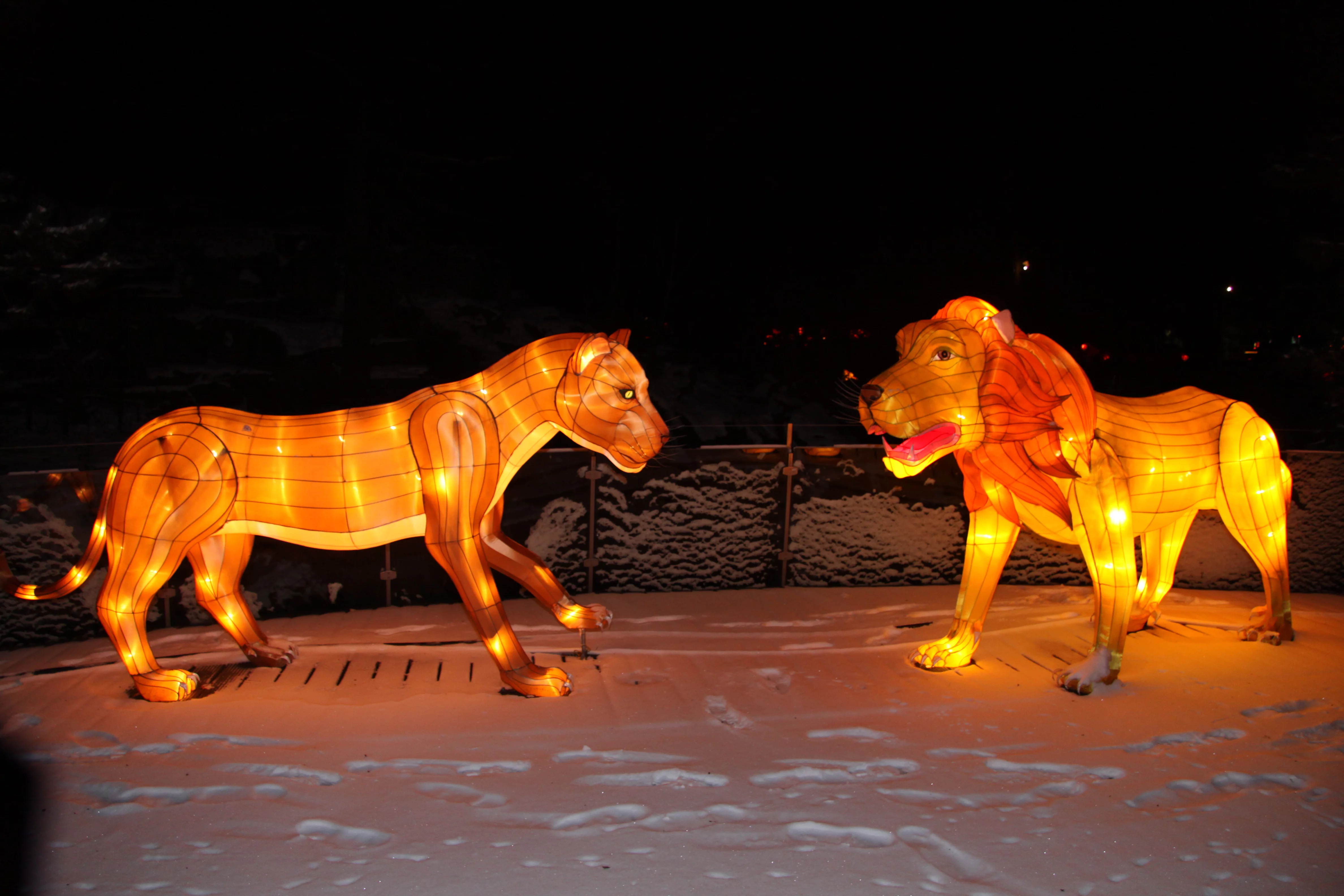 China Festival of Lights