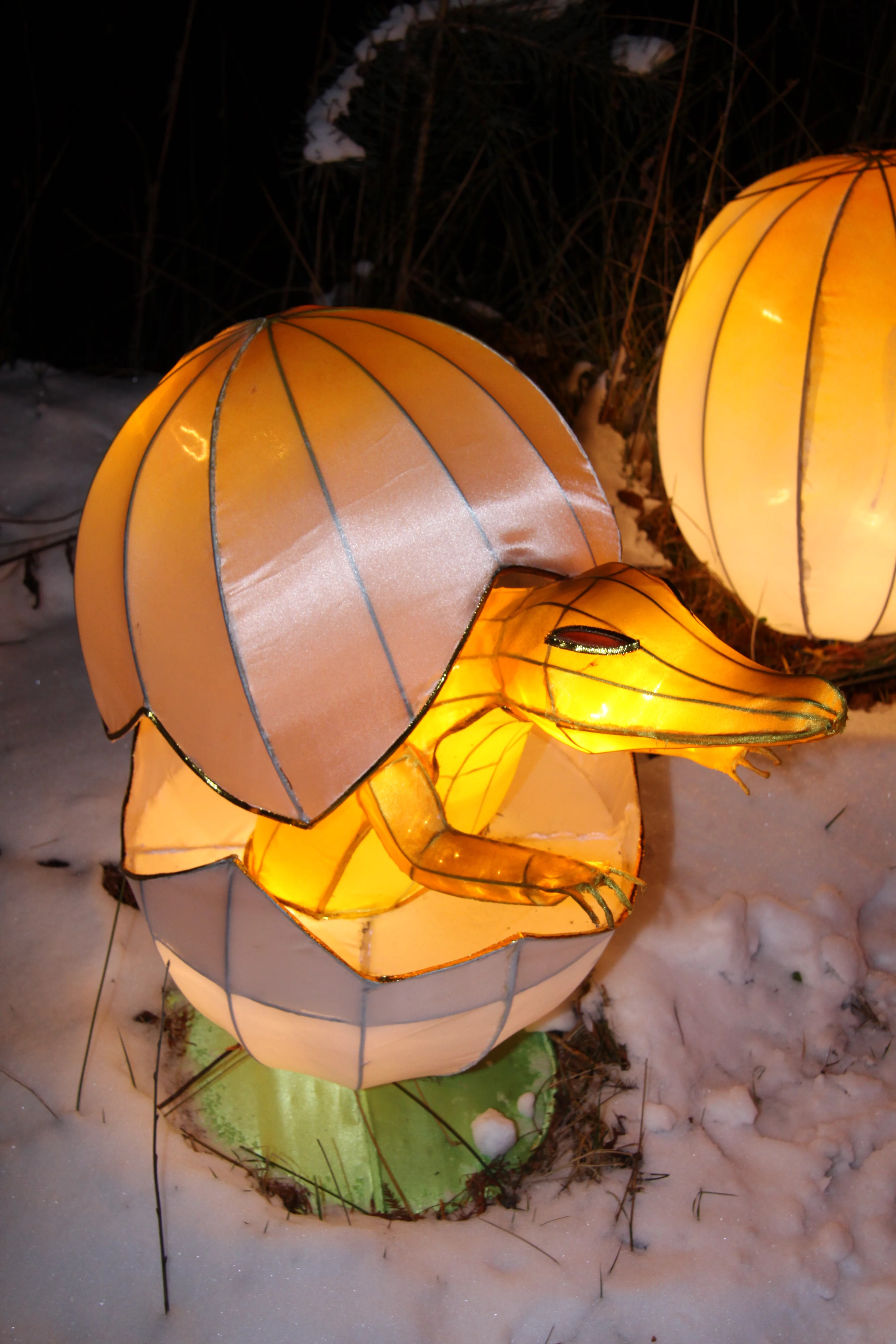China Festival of Lights