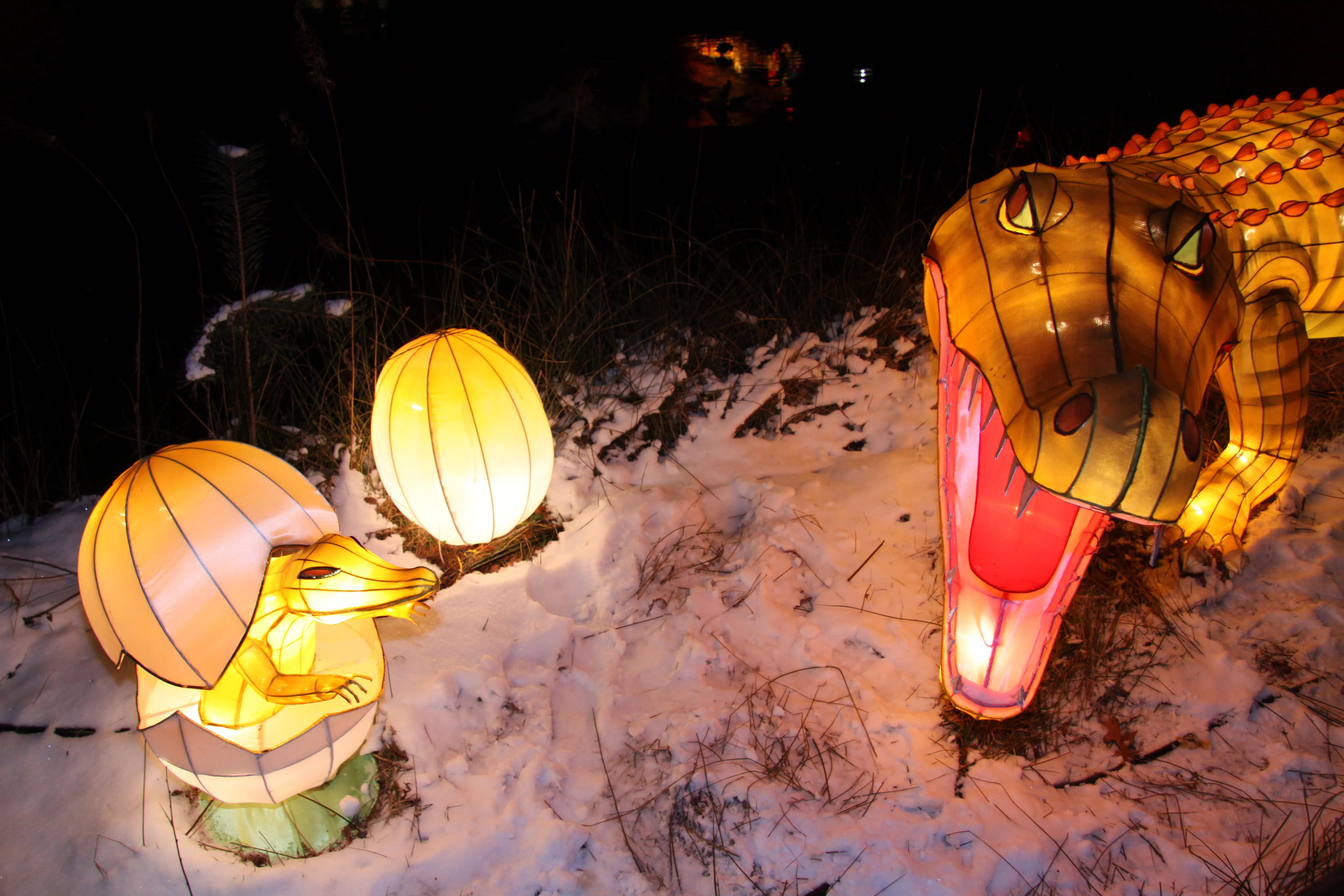 China Festival of Lights