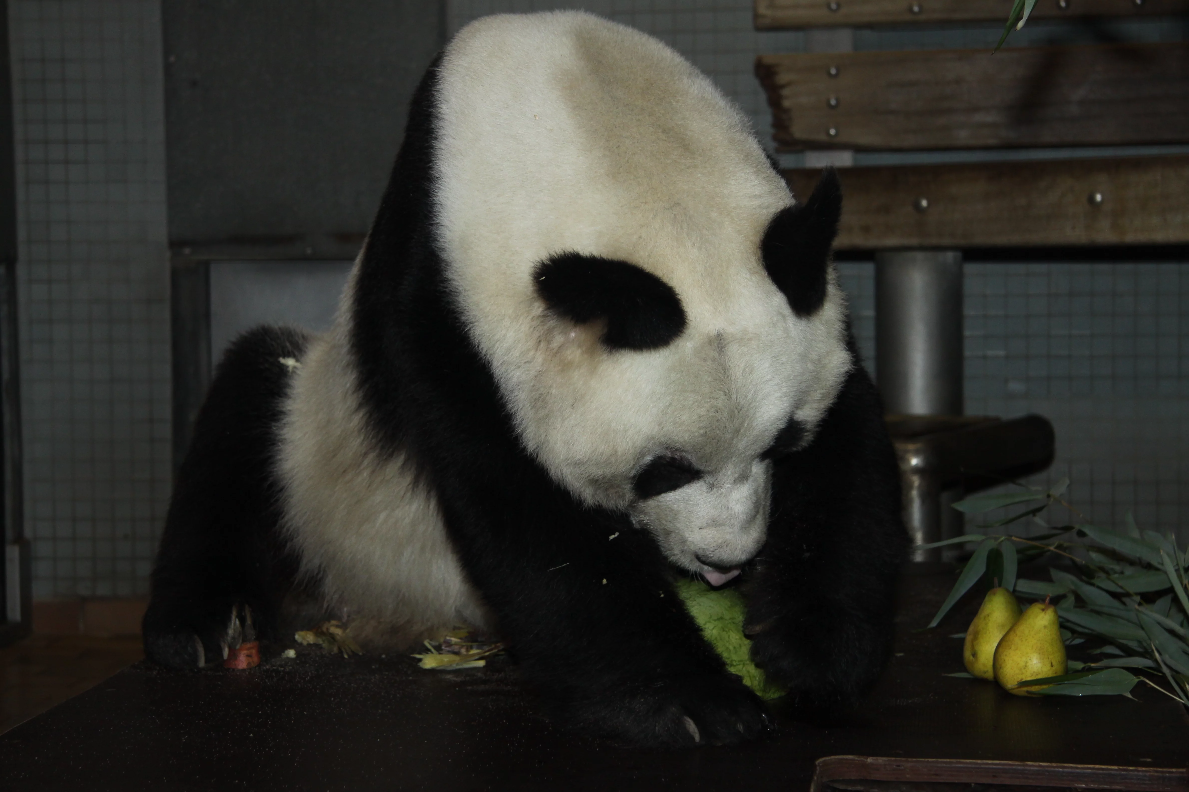 Zoo Berlin