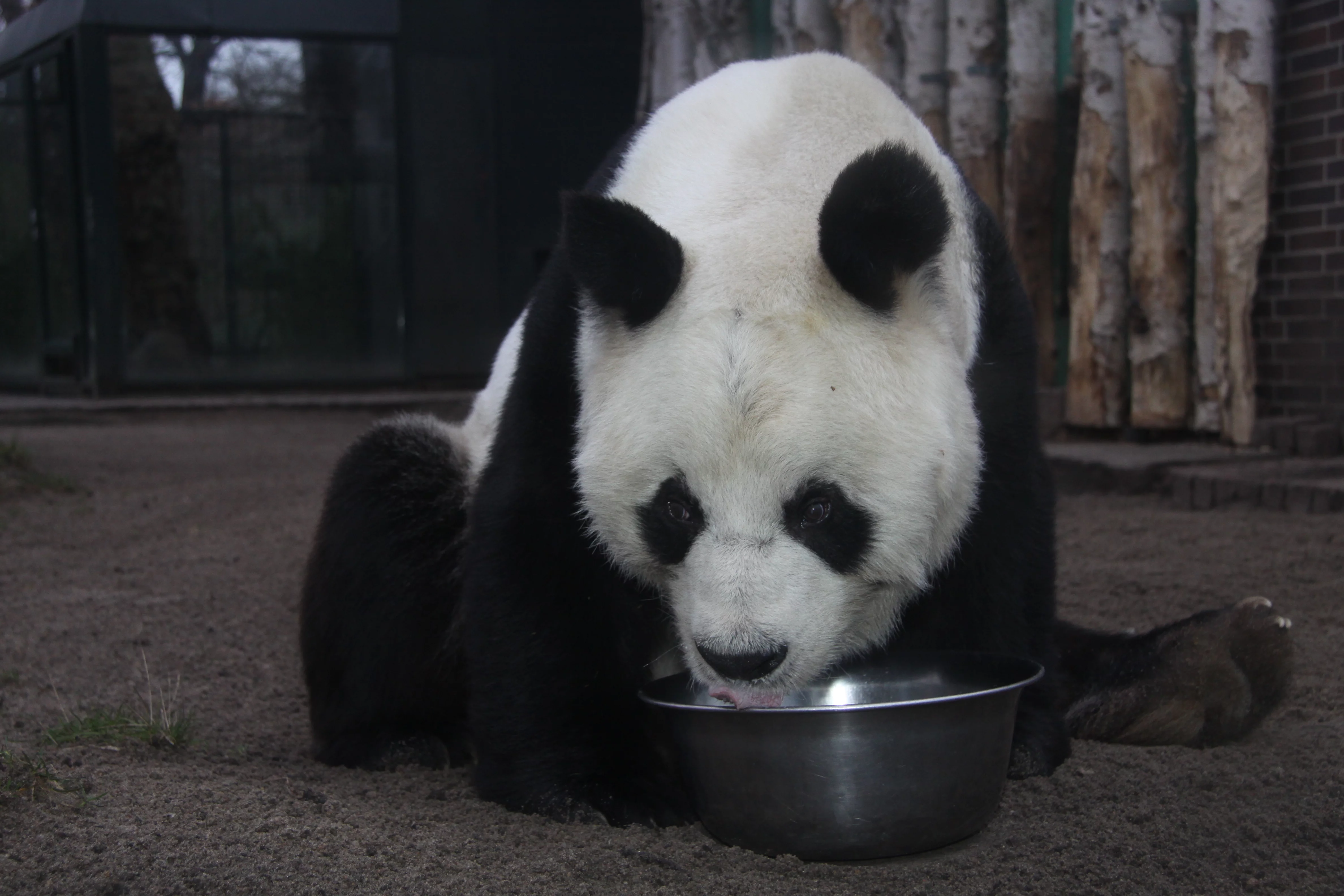 Zoo Berlin