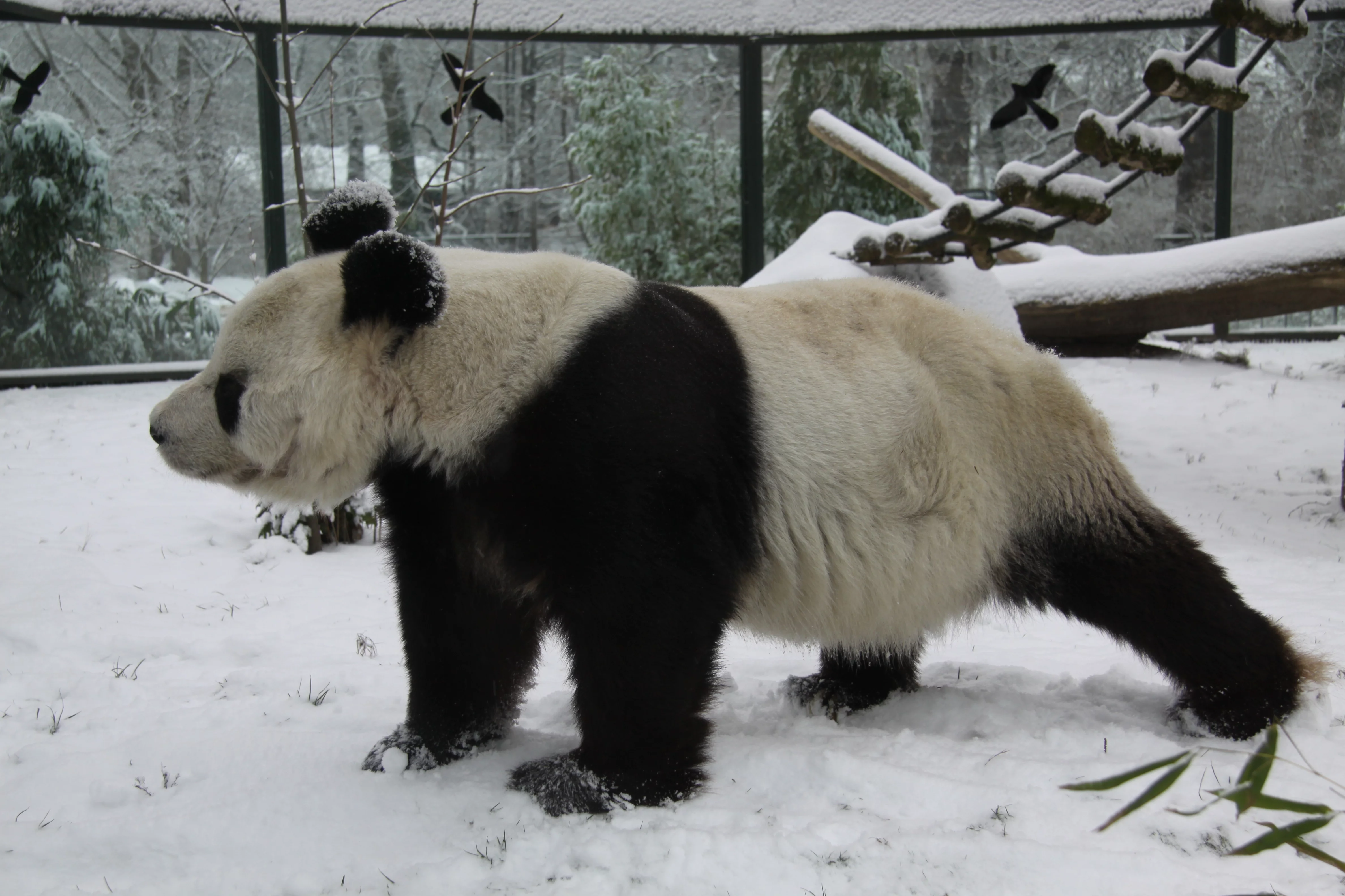 Zoo Berlin