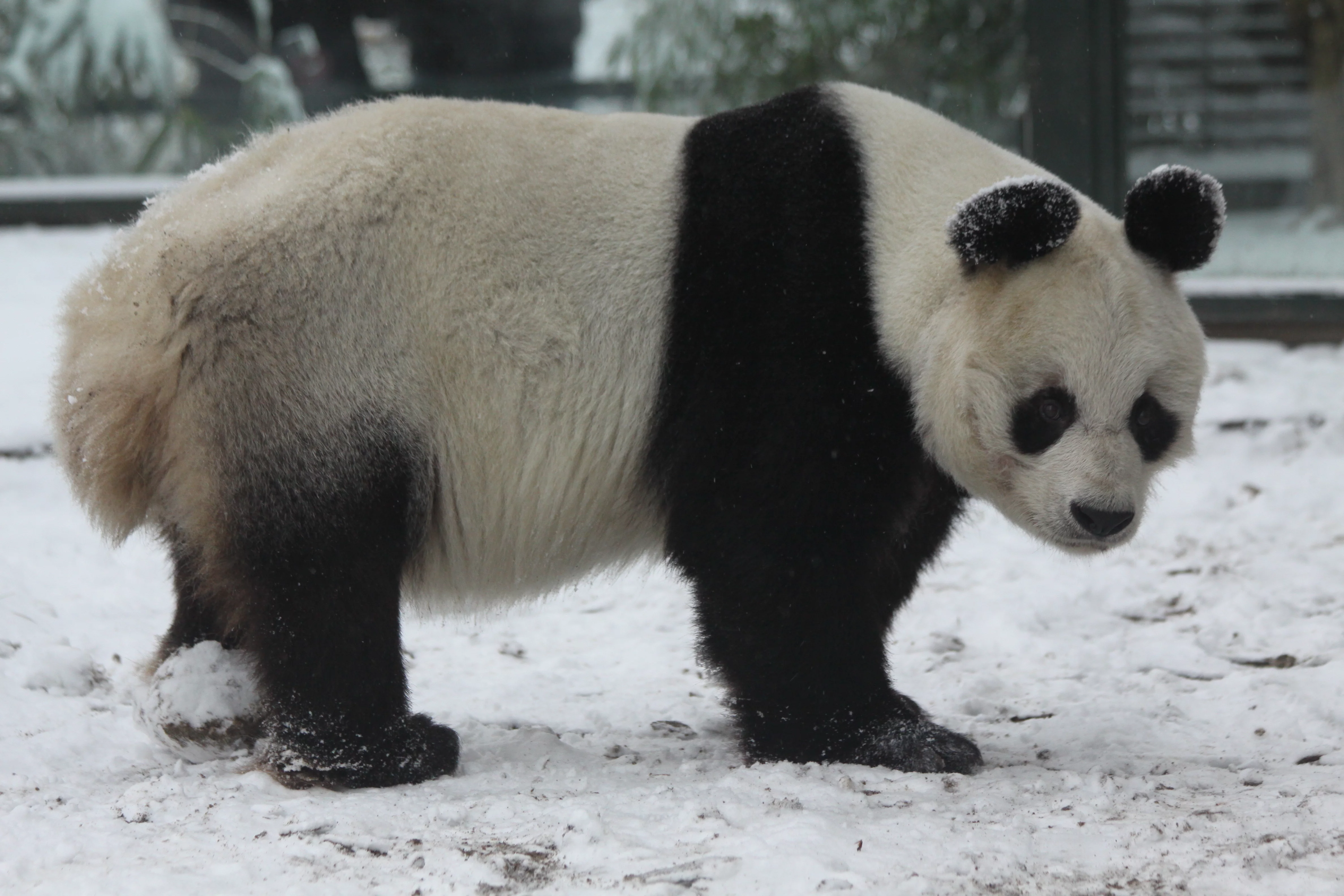 Zoo Berlin