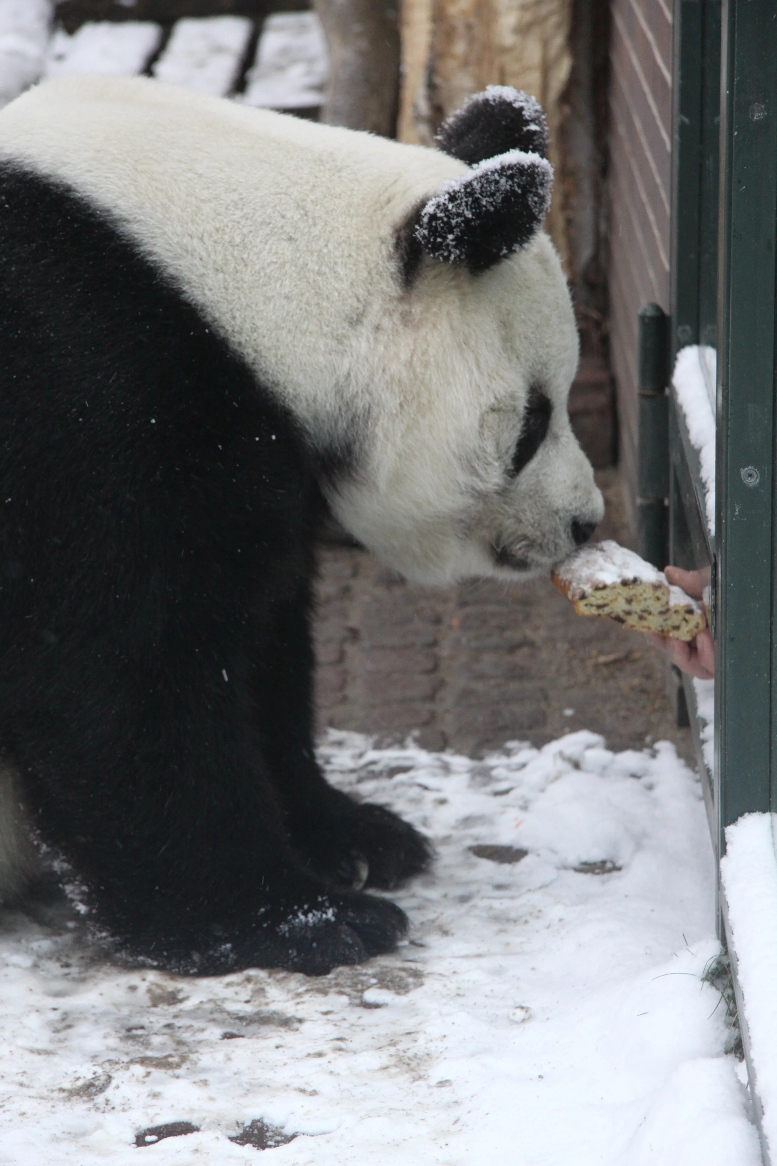 Zoo Berlin