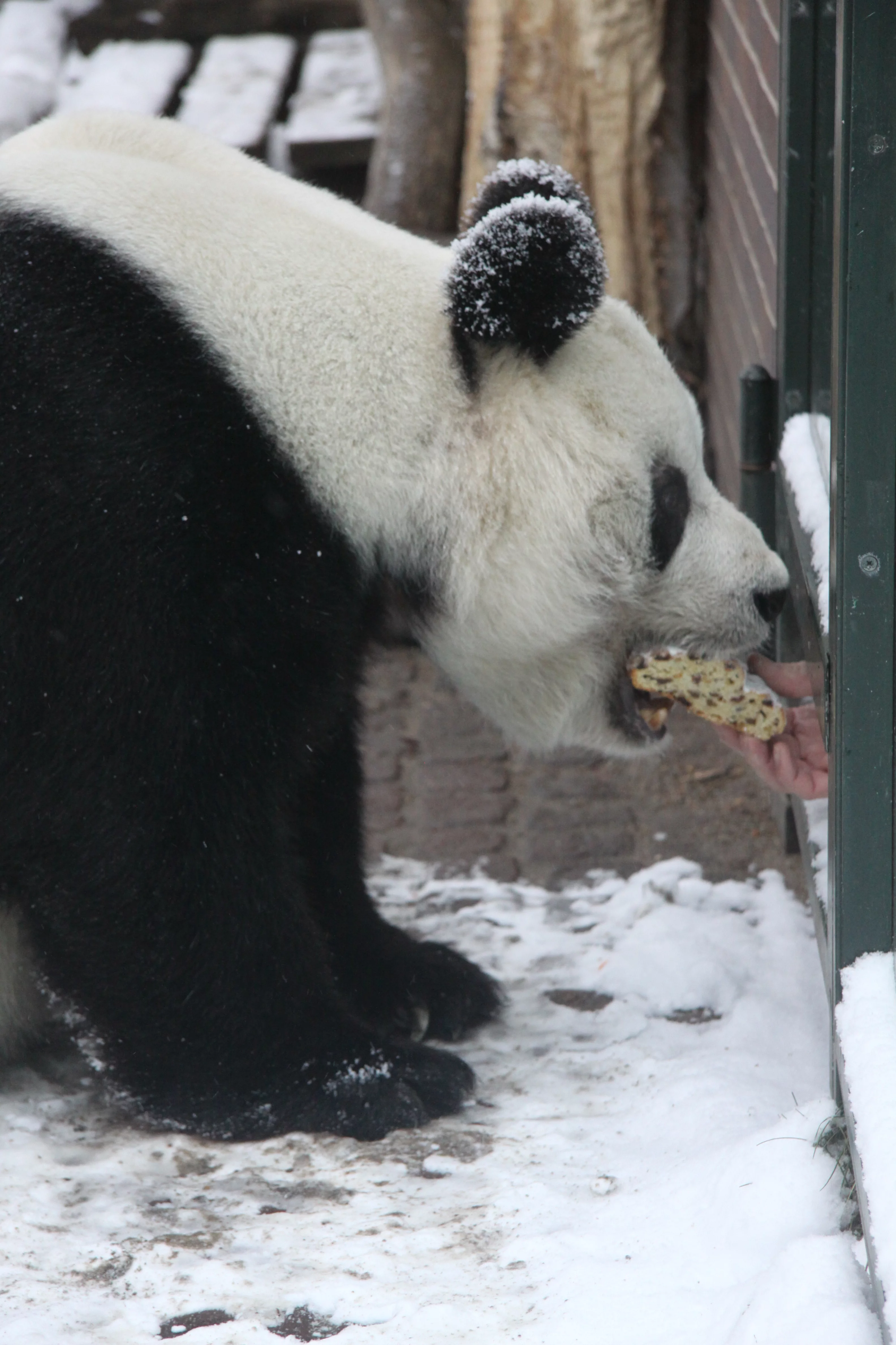Zoo Berlin