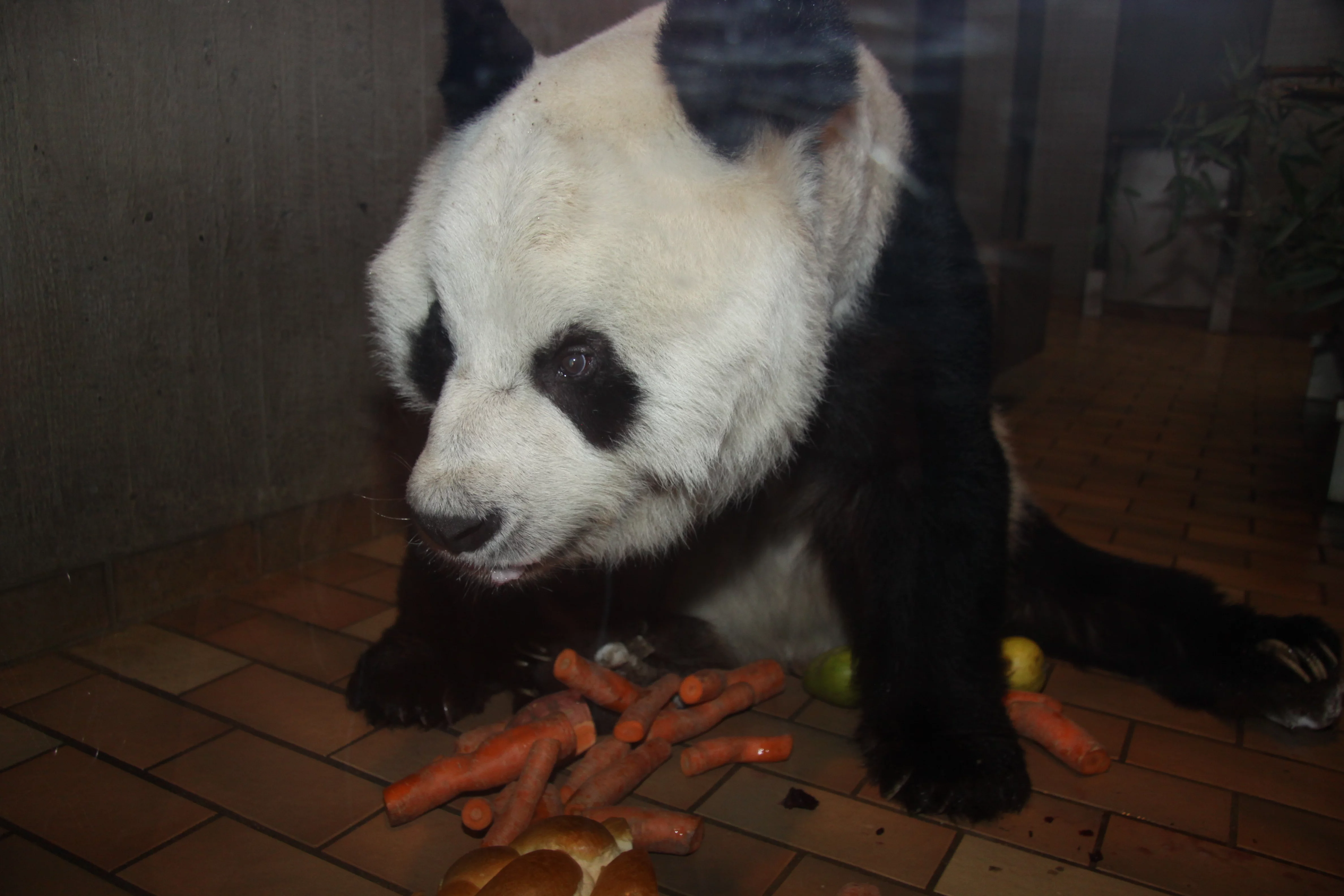 Zoo Berlin