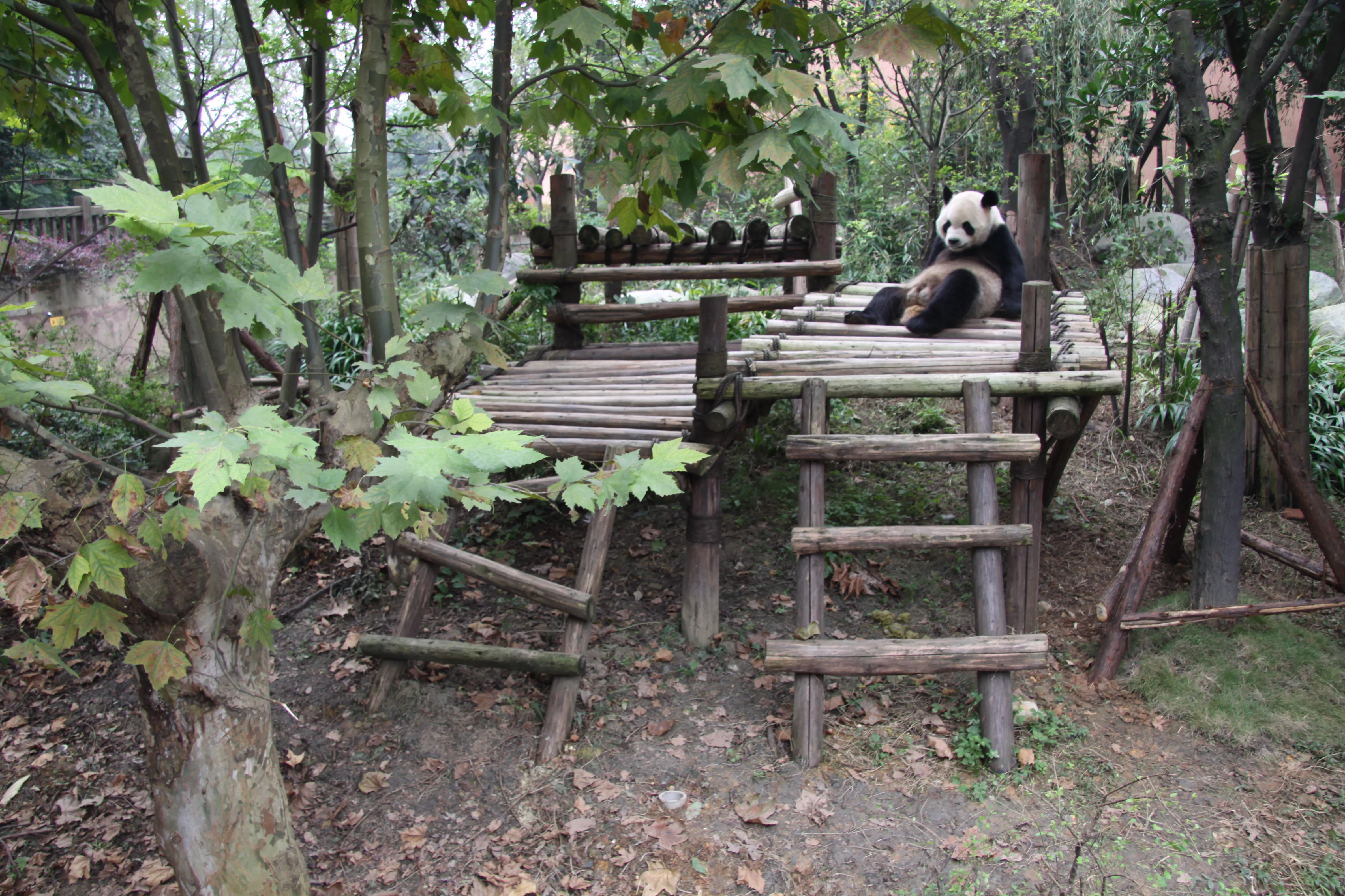 Chengdu Research Base of Giant Panda Breeding