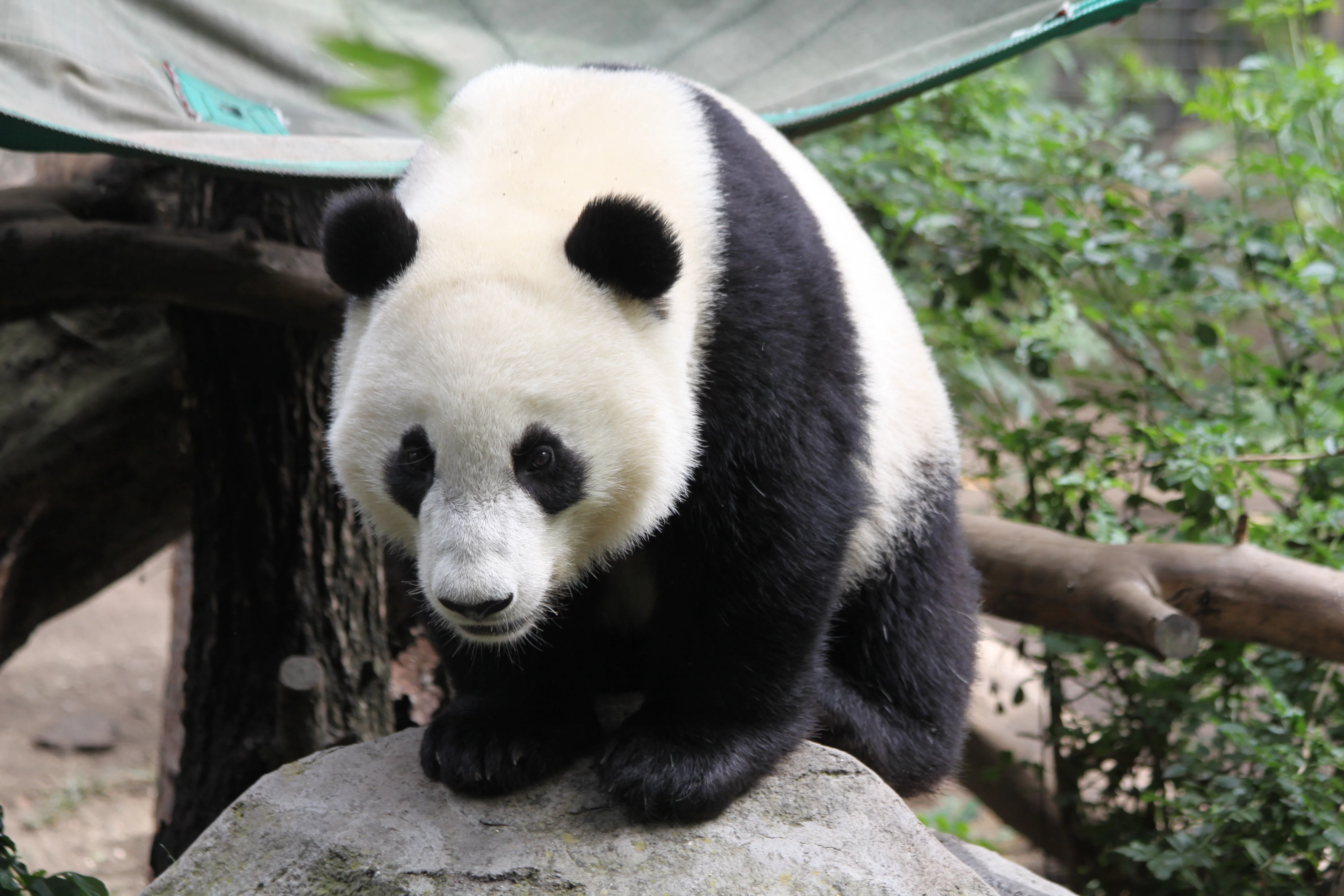 San Diego Zoo