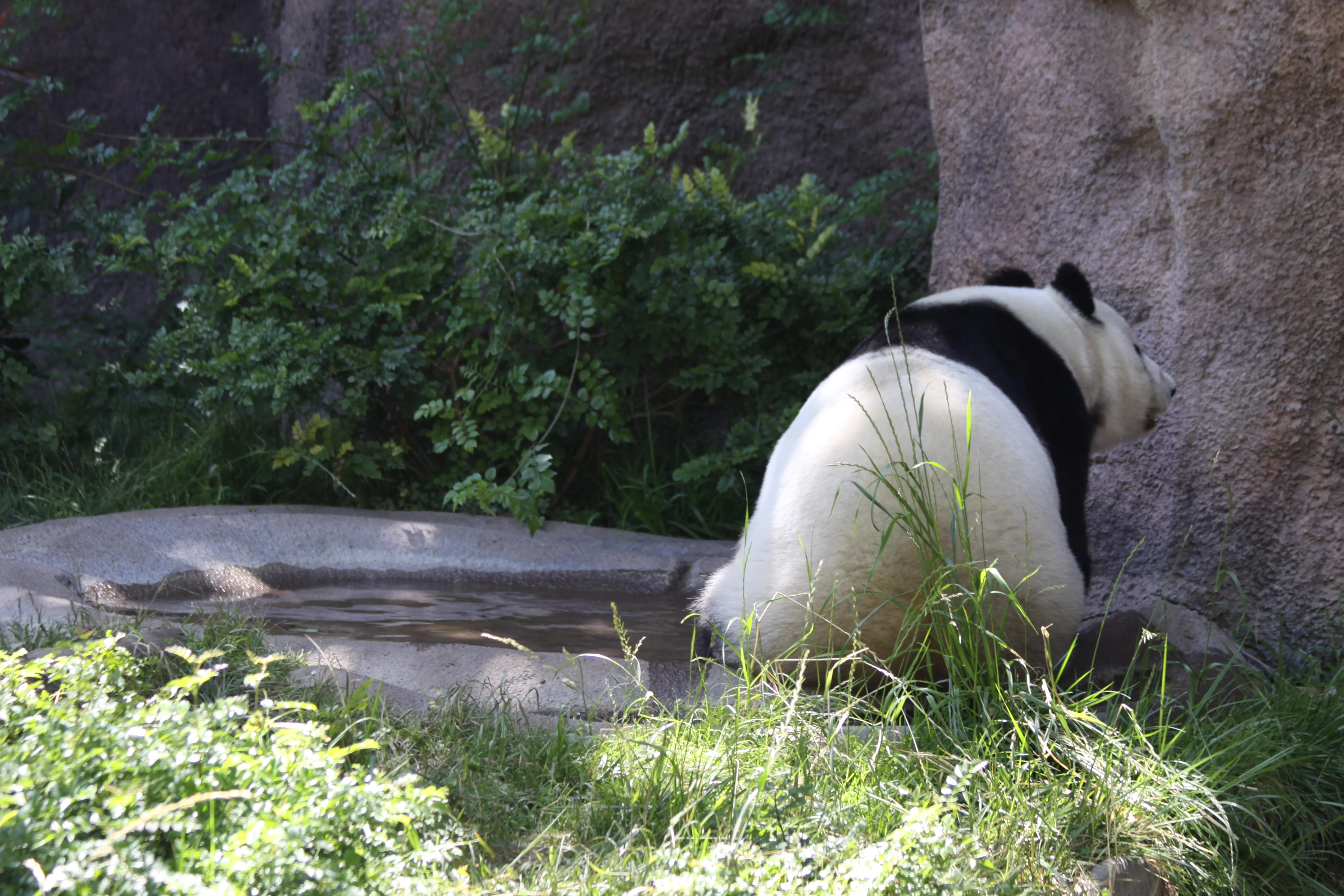 San Diego Zoo