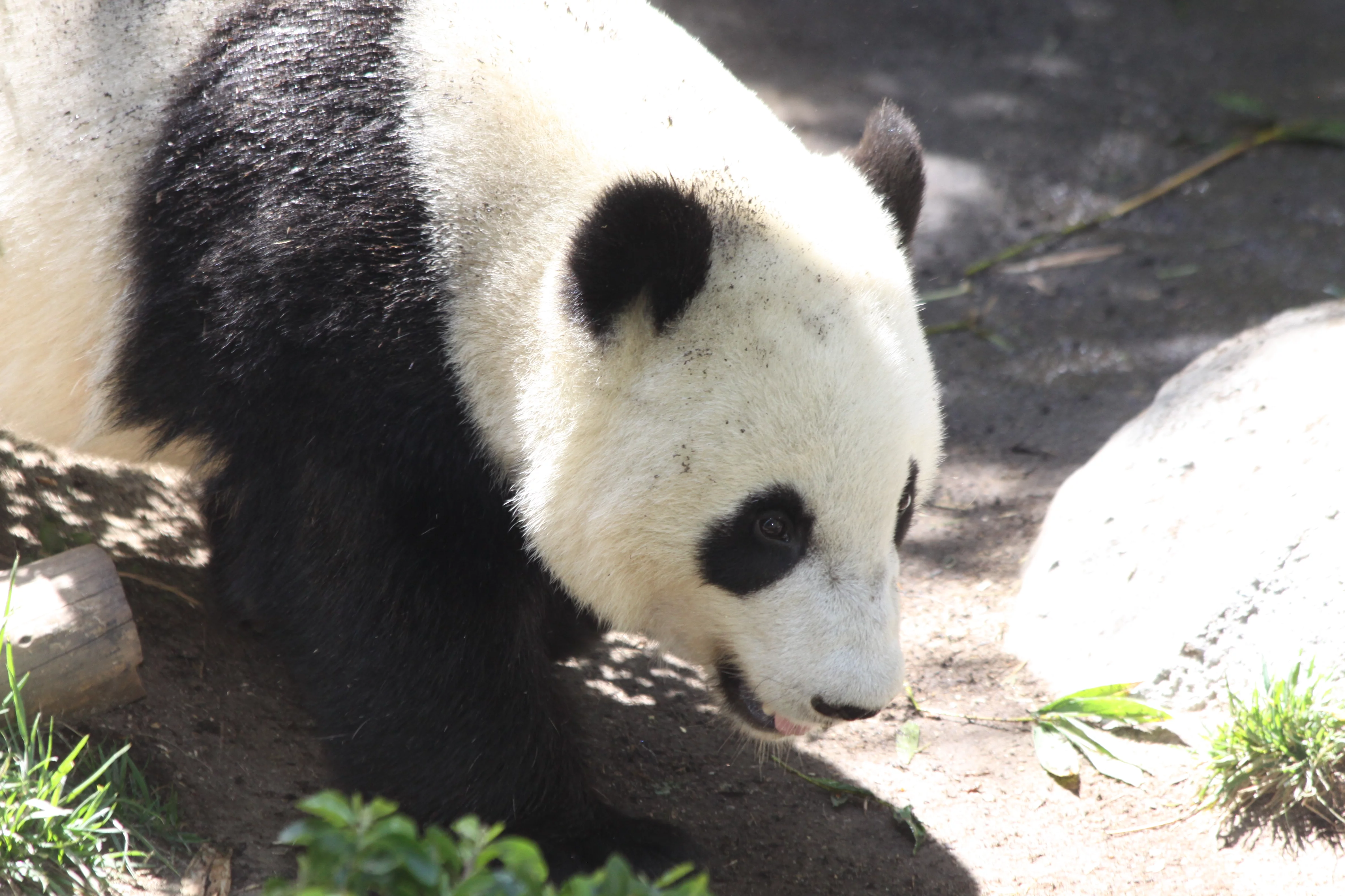 San Diego Zoo
