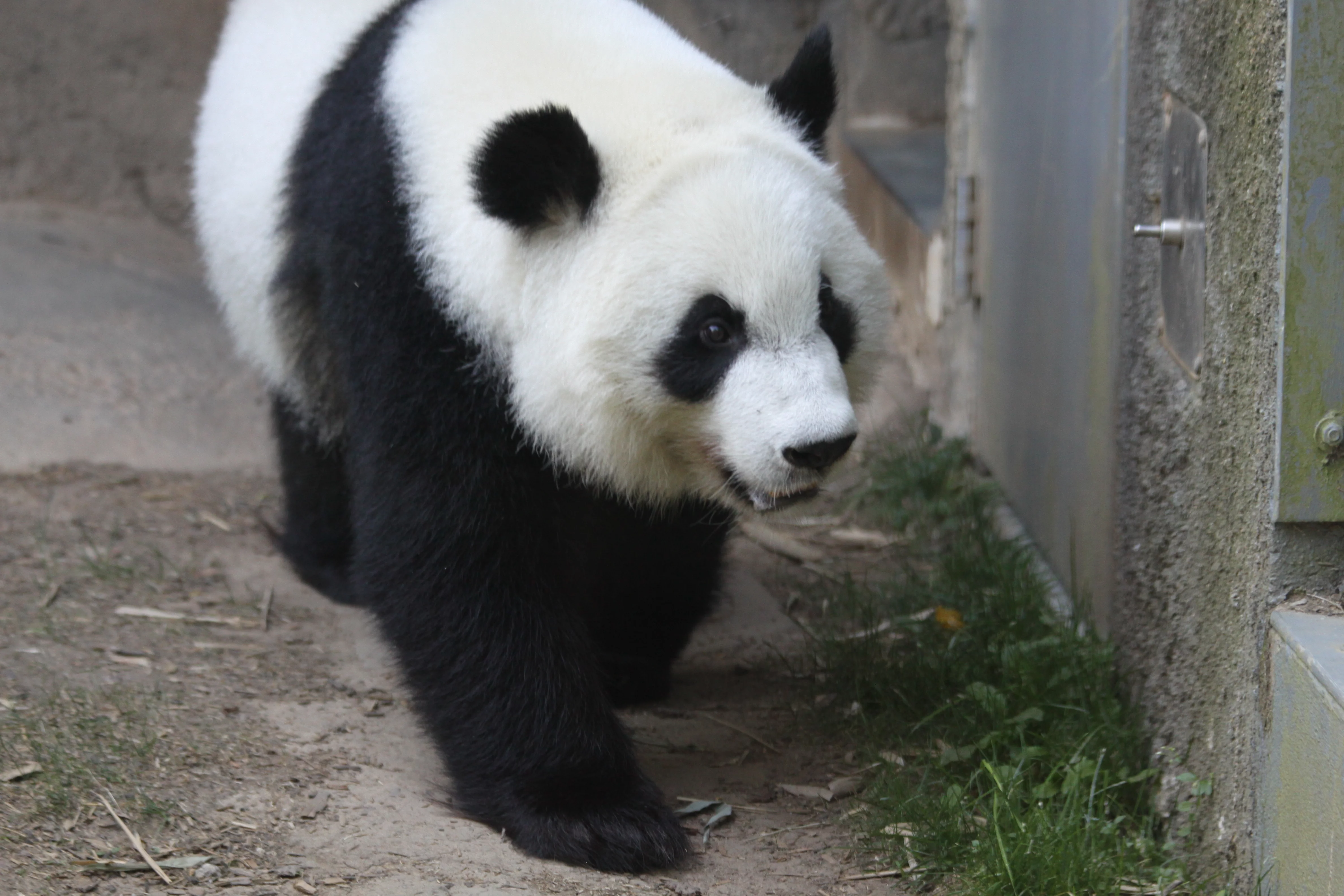 Zoo Atlanta