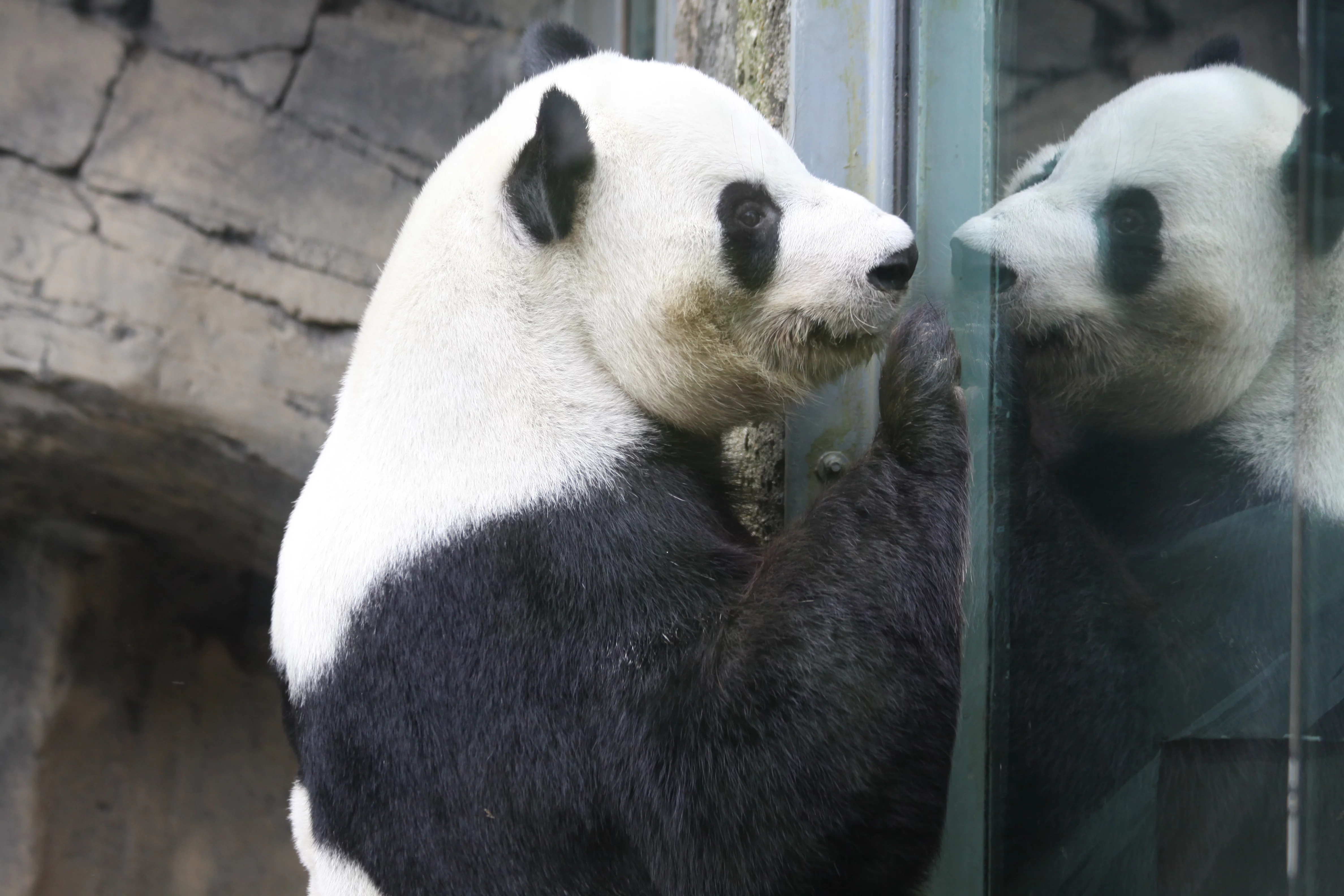 Zoo Atlanta