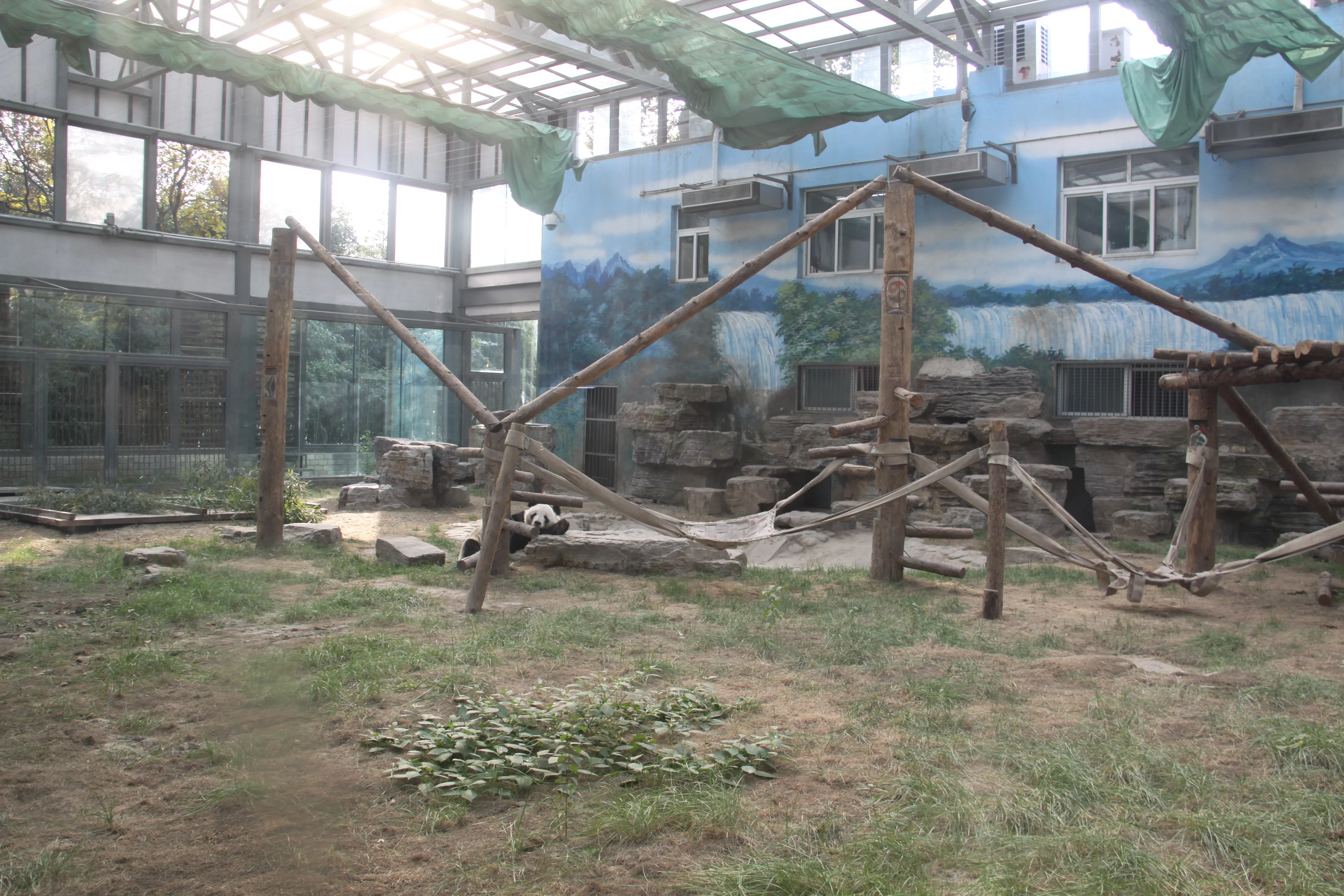 Beijing Zoo