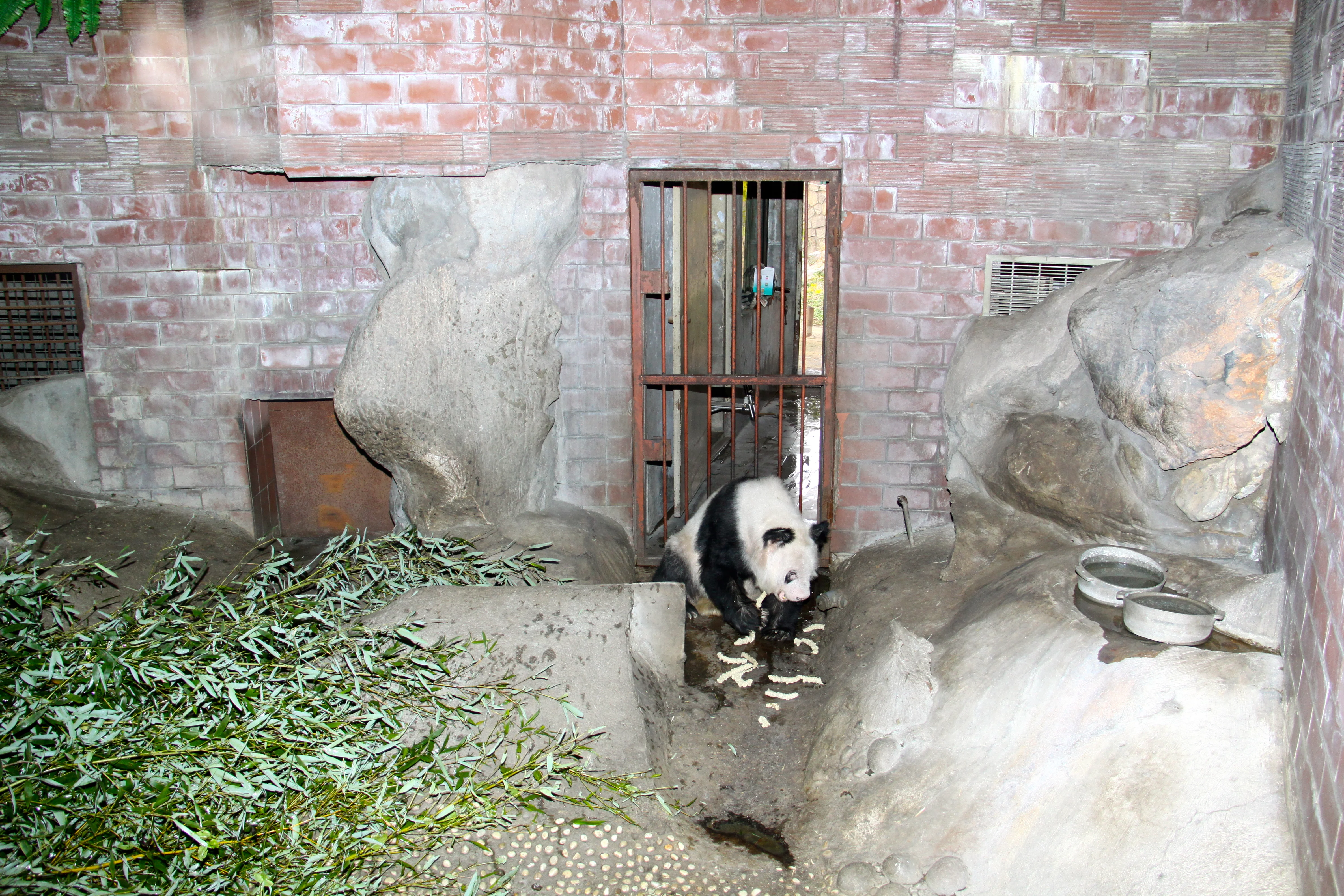 Beijing Zoo