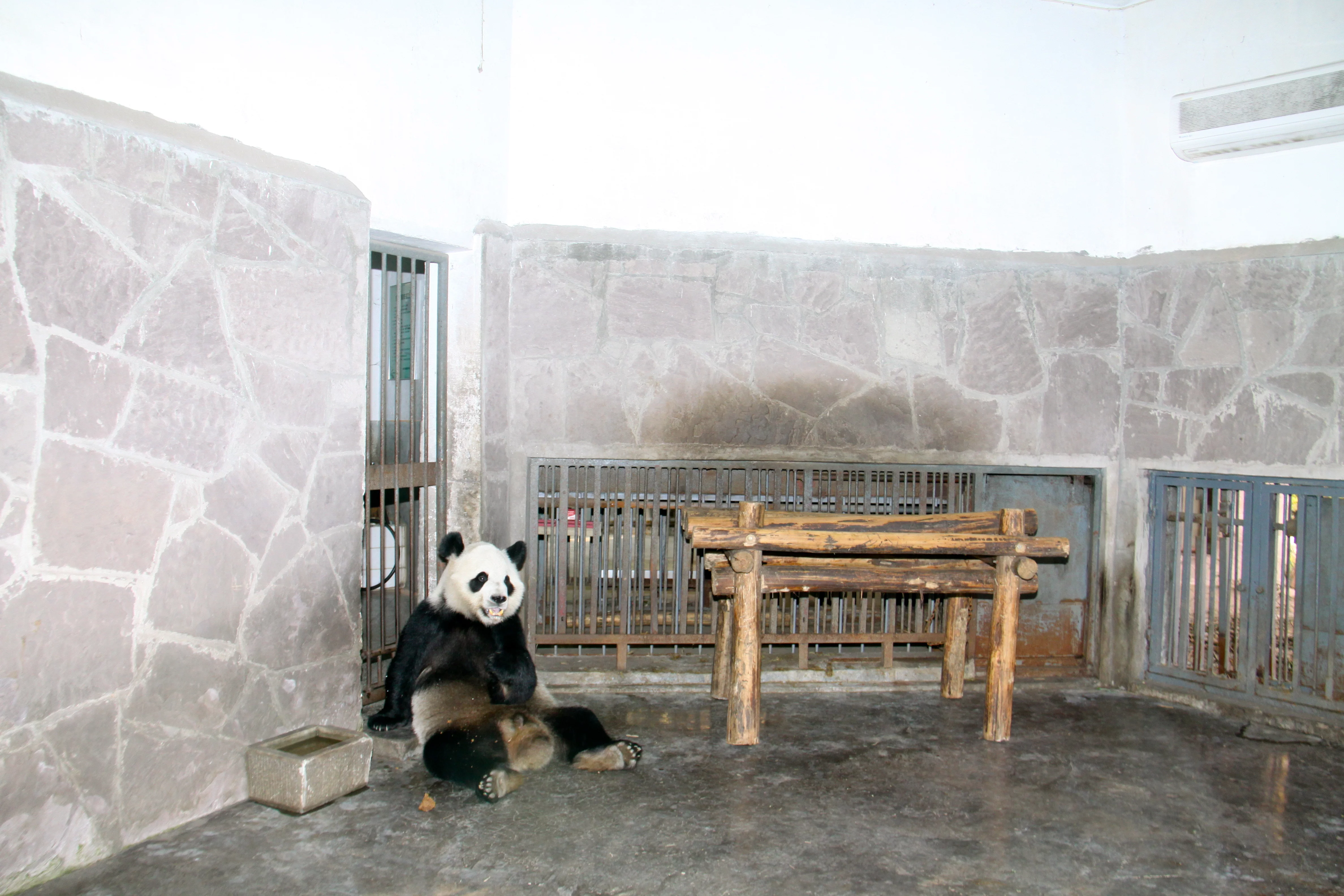 Chengdu Research Base of Giant Panda Breeding