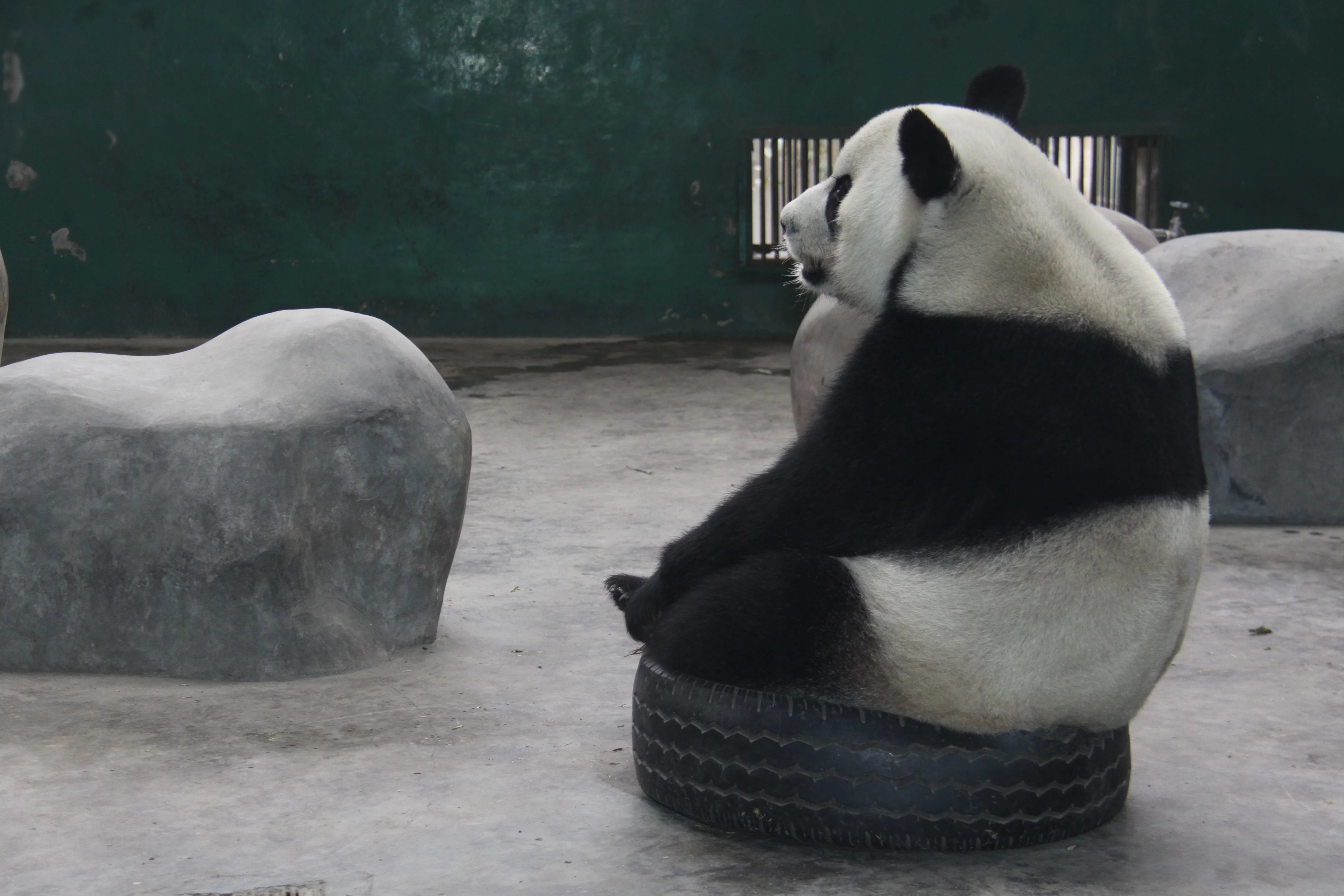 Chengdu Zoo