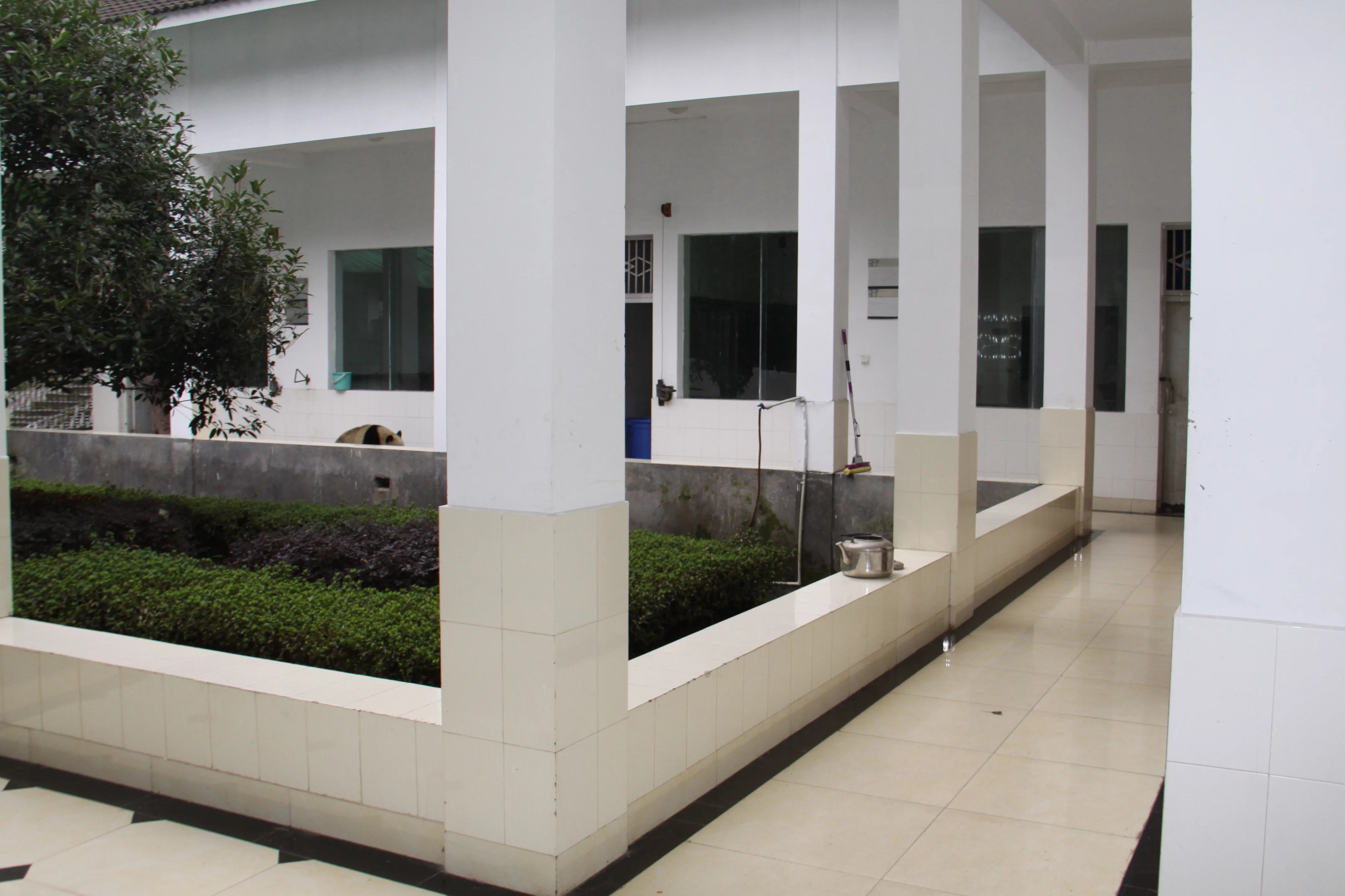 Ya'an Bi Feng Xia Base of CCRCGP