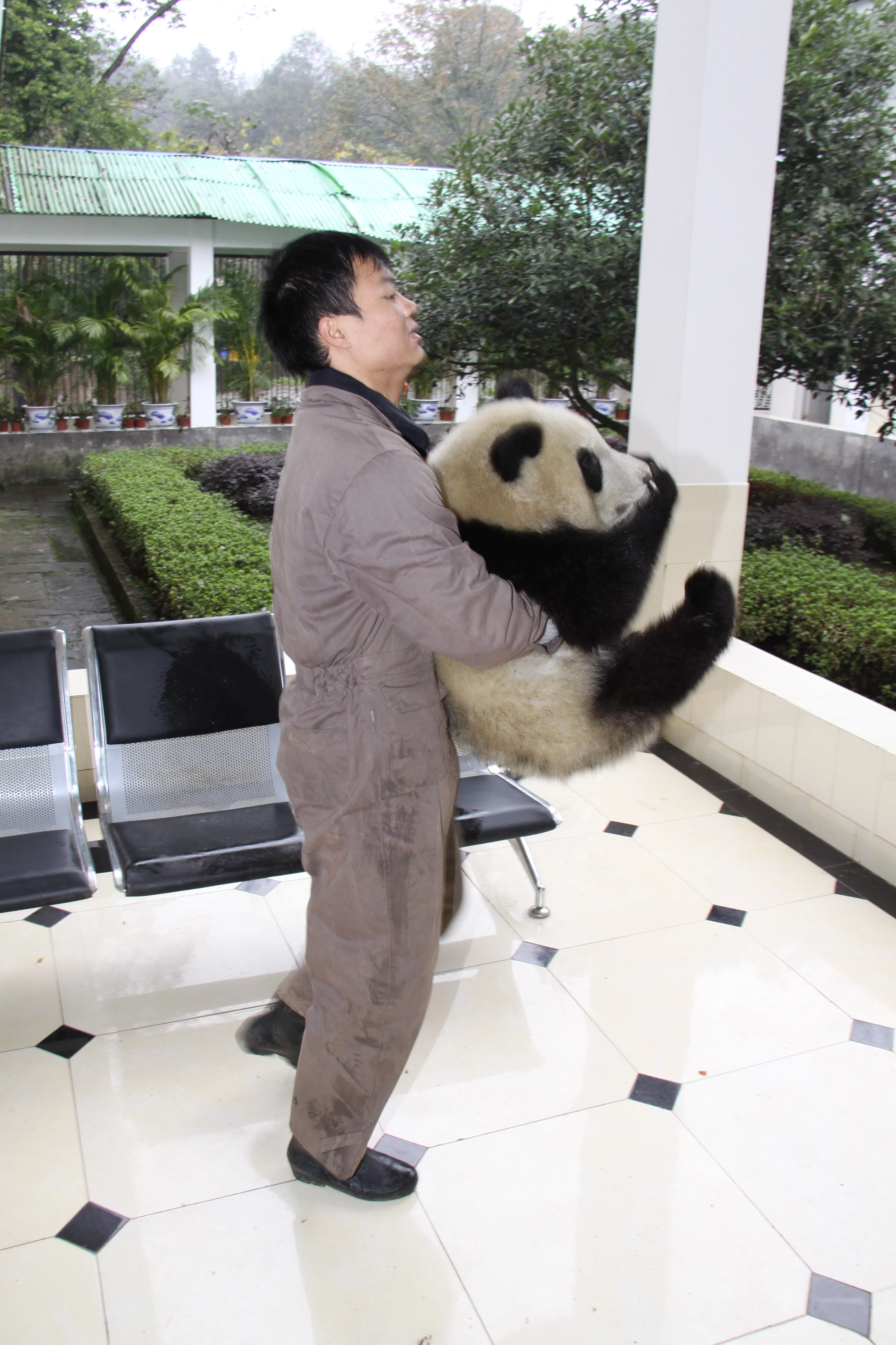 Ya'an Bi Feng Xia Base of CCRCGP