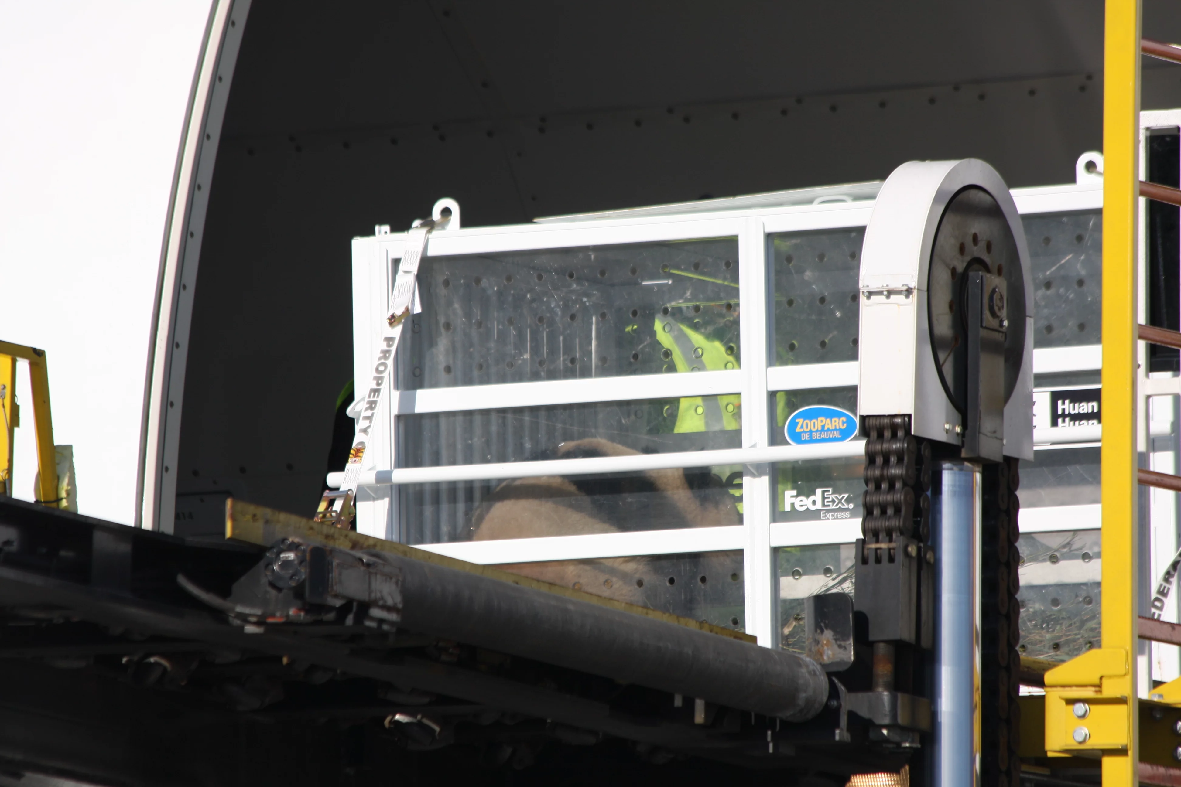 Huan Huan &amp; Yuan Zi arrive in France