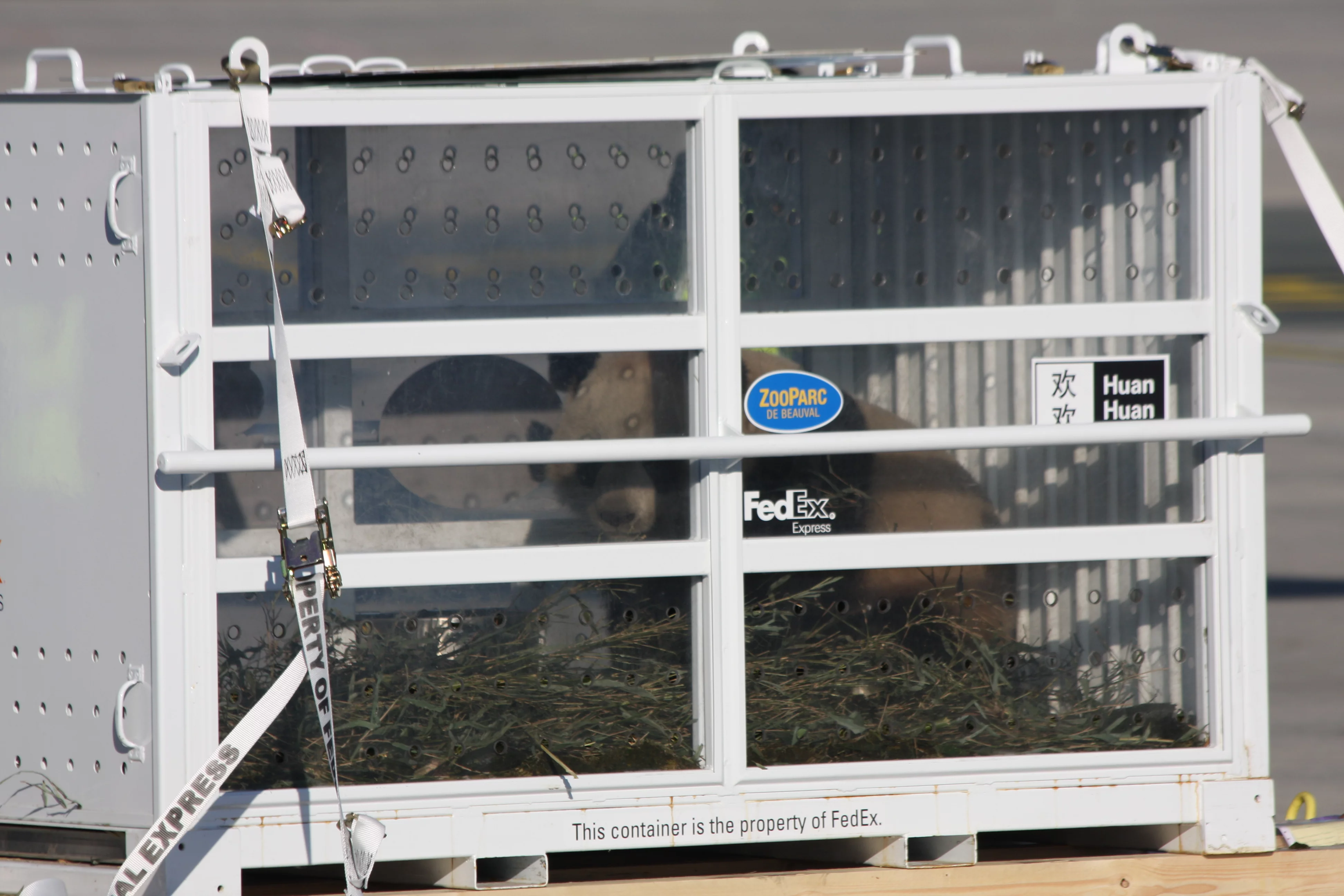 Huan Huan &amp; Yuan Zi arrive in France