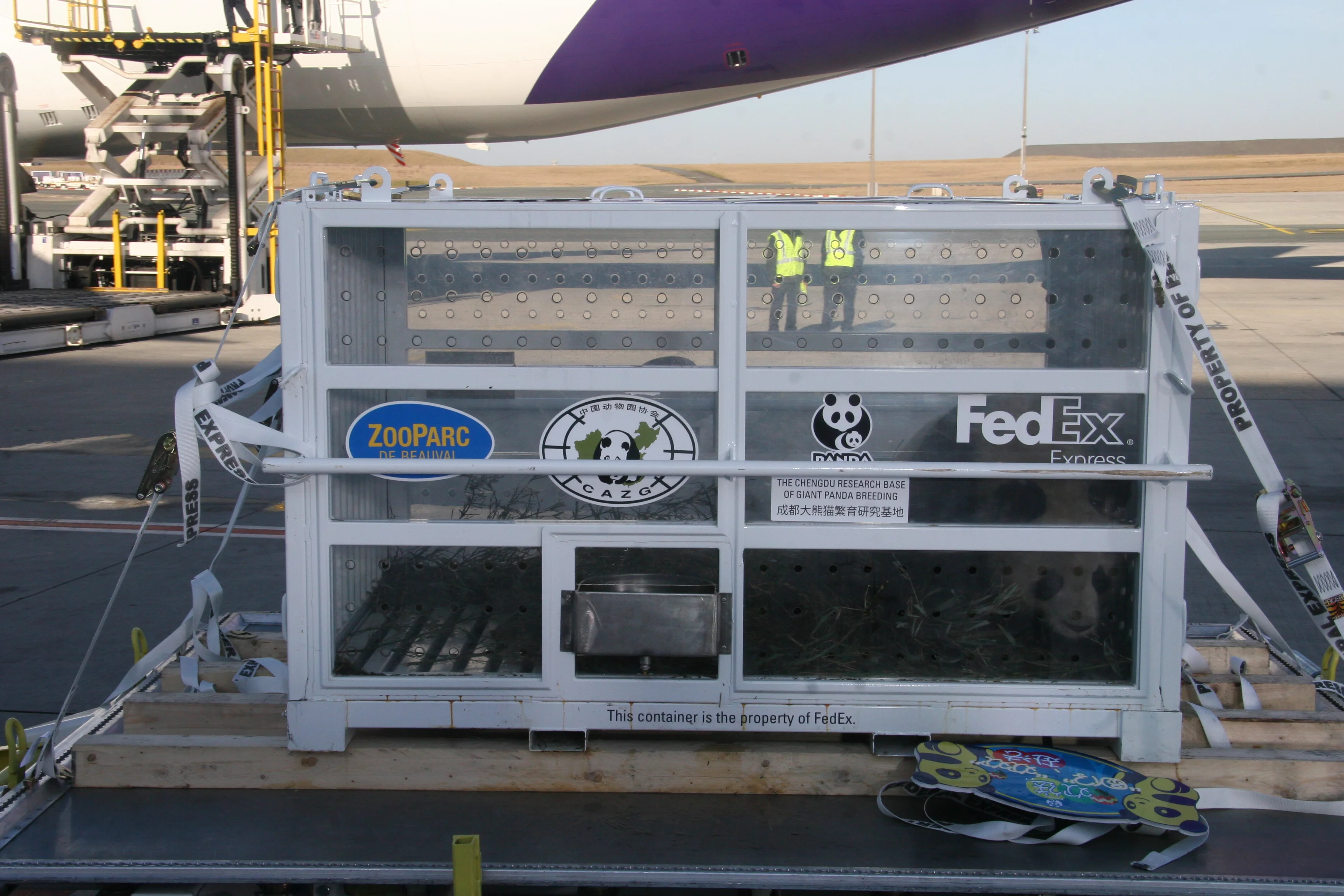 Huan Huan &amp; Yuan Zi arrive in France