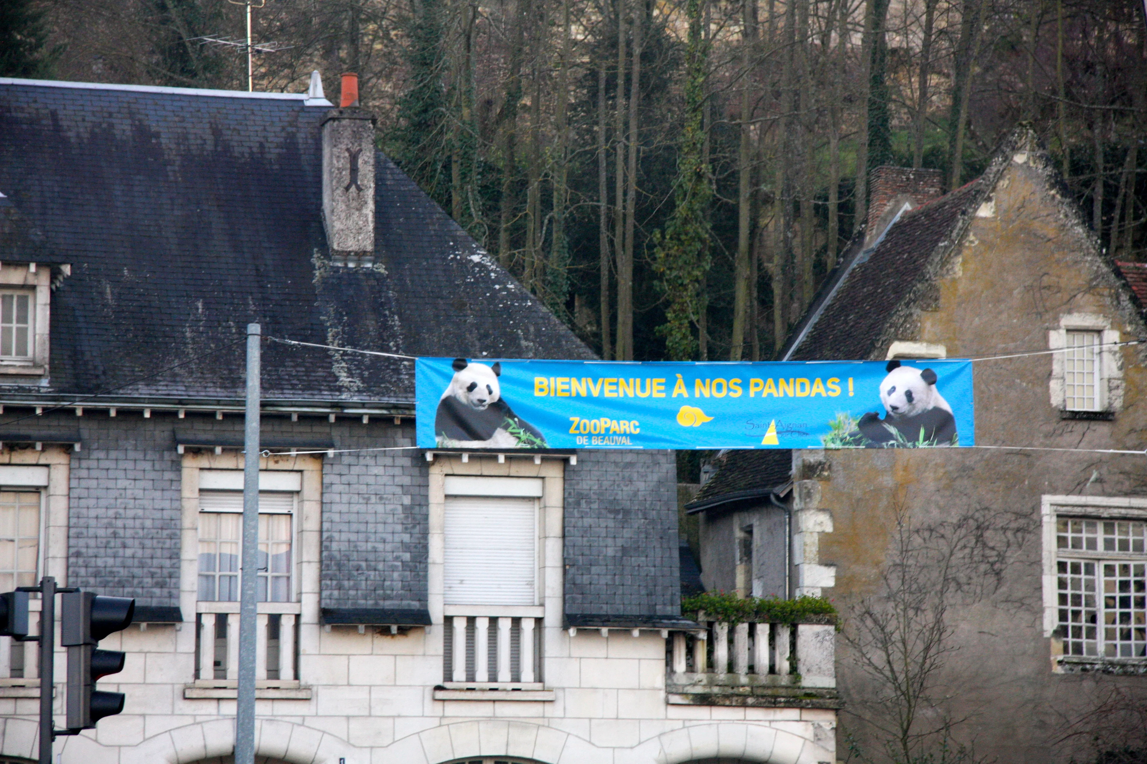 Huan Huan &amp; Yuan Zi arrive in France