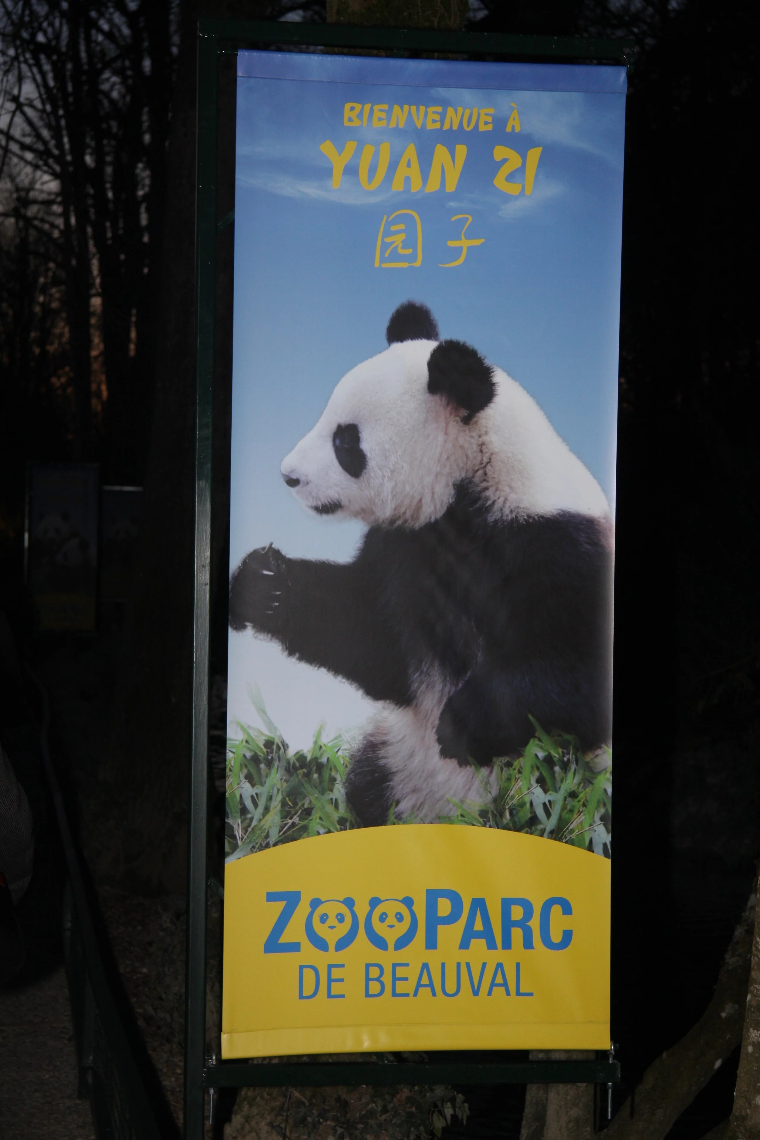 Huan Huan &amp; Yuan Zi arrive in France