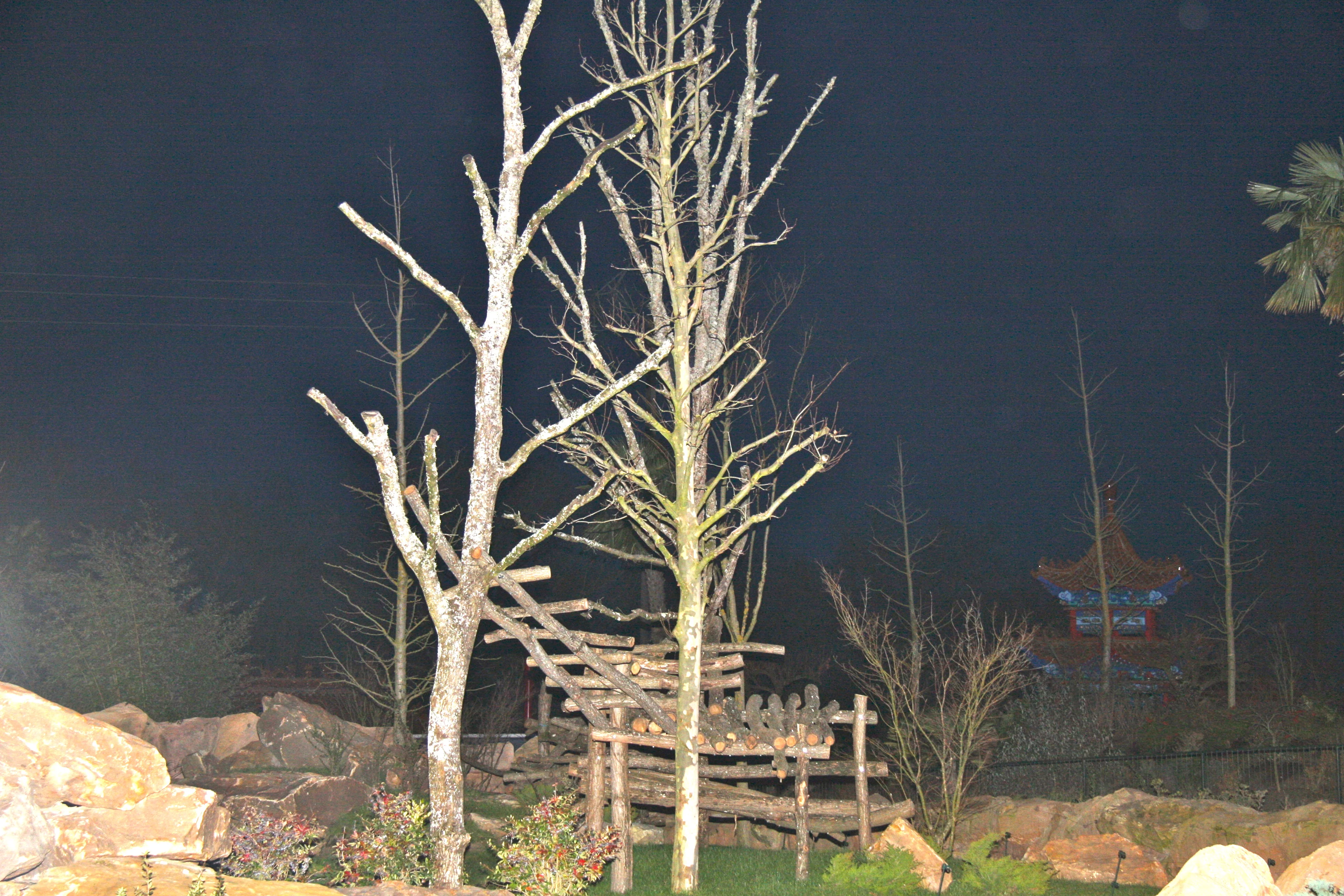 Huan Huan &amp; Yuan Zi arrive in France