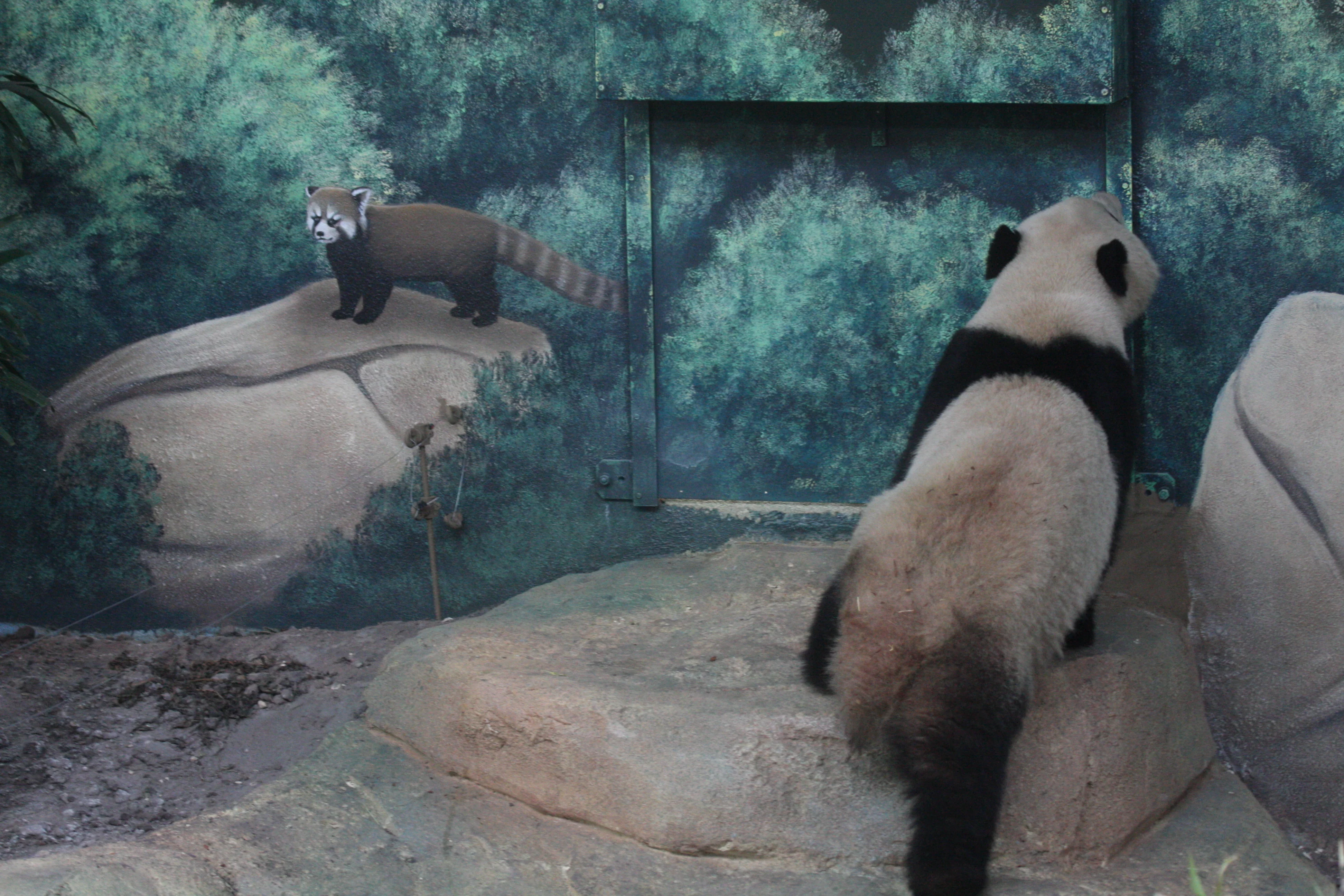 Huan Huan &amp; Yuan Zi arrive in France