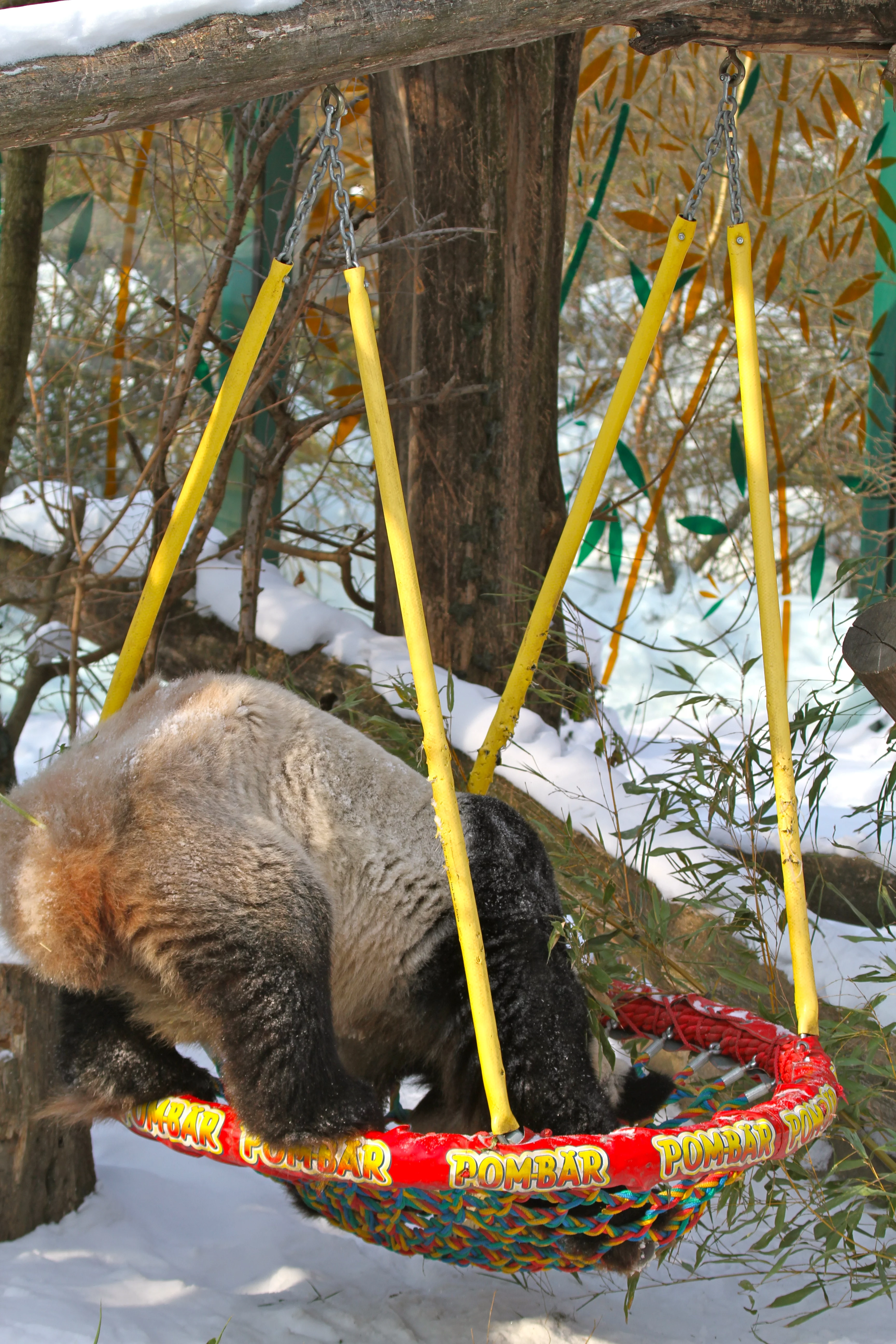 Tiergarten Schönbrunn