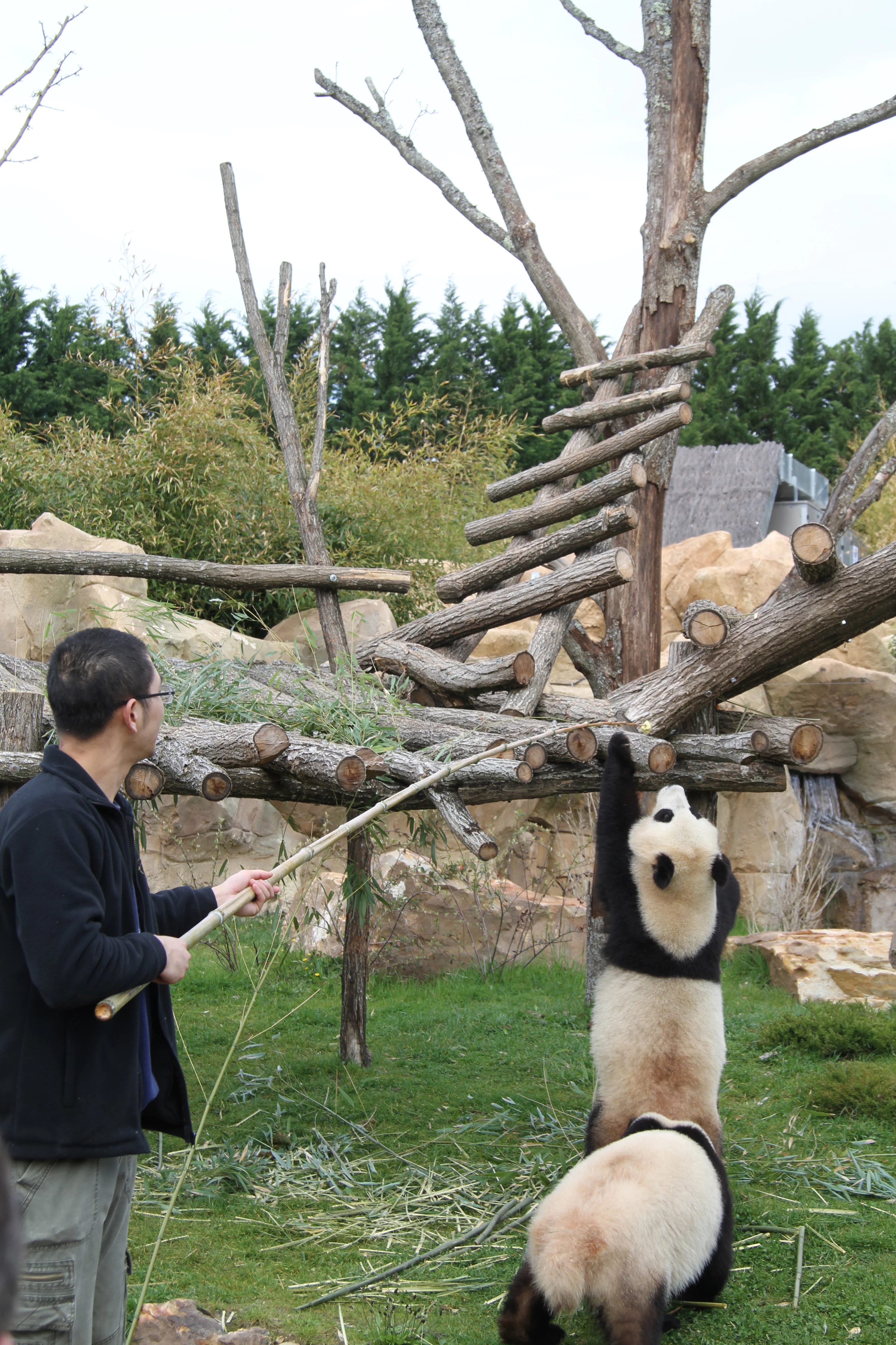 ZooParc de Beauval