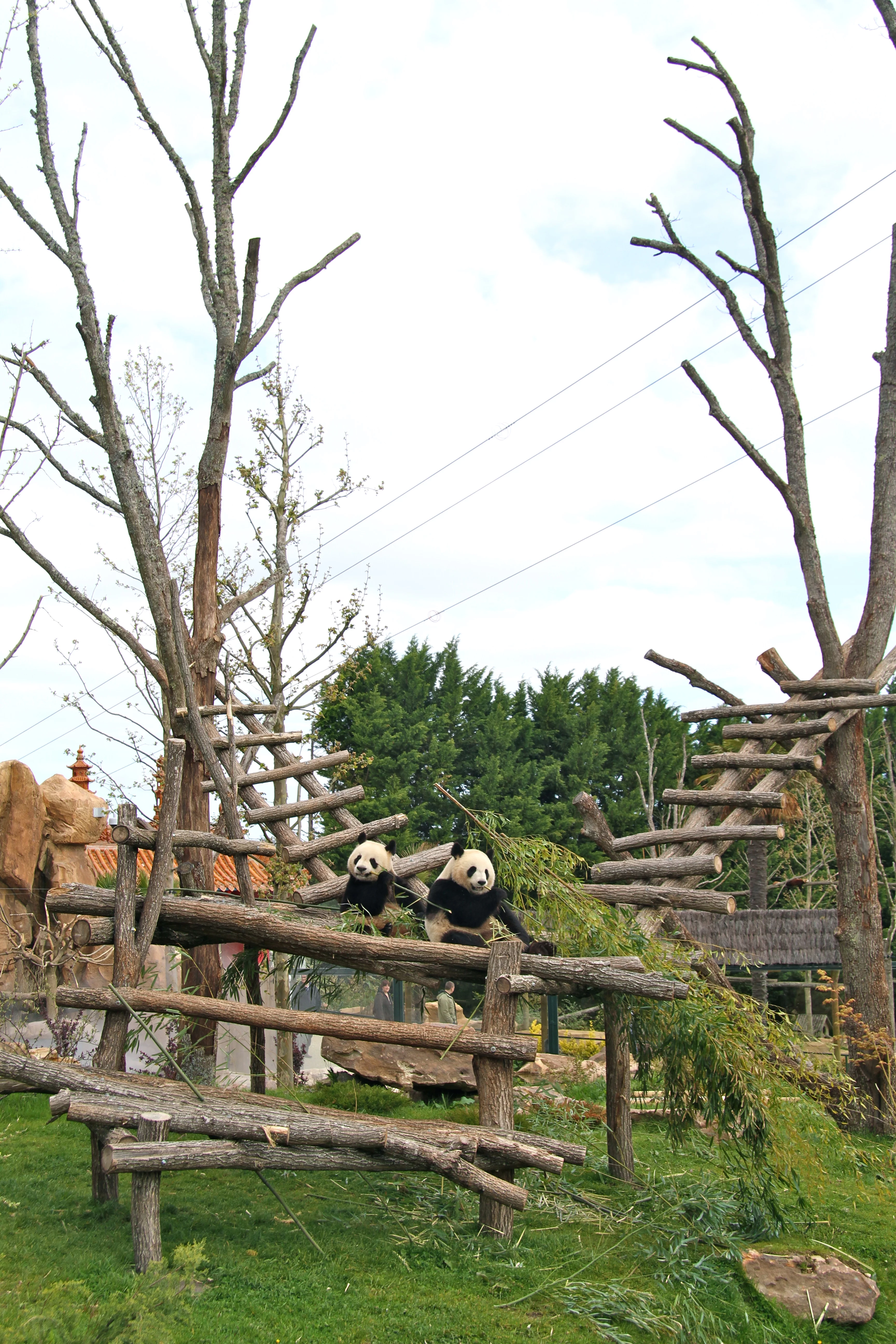 ZooParc de Beauval