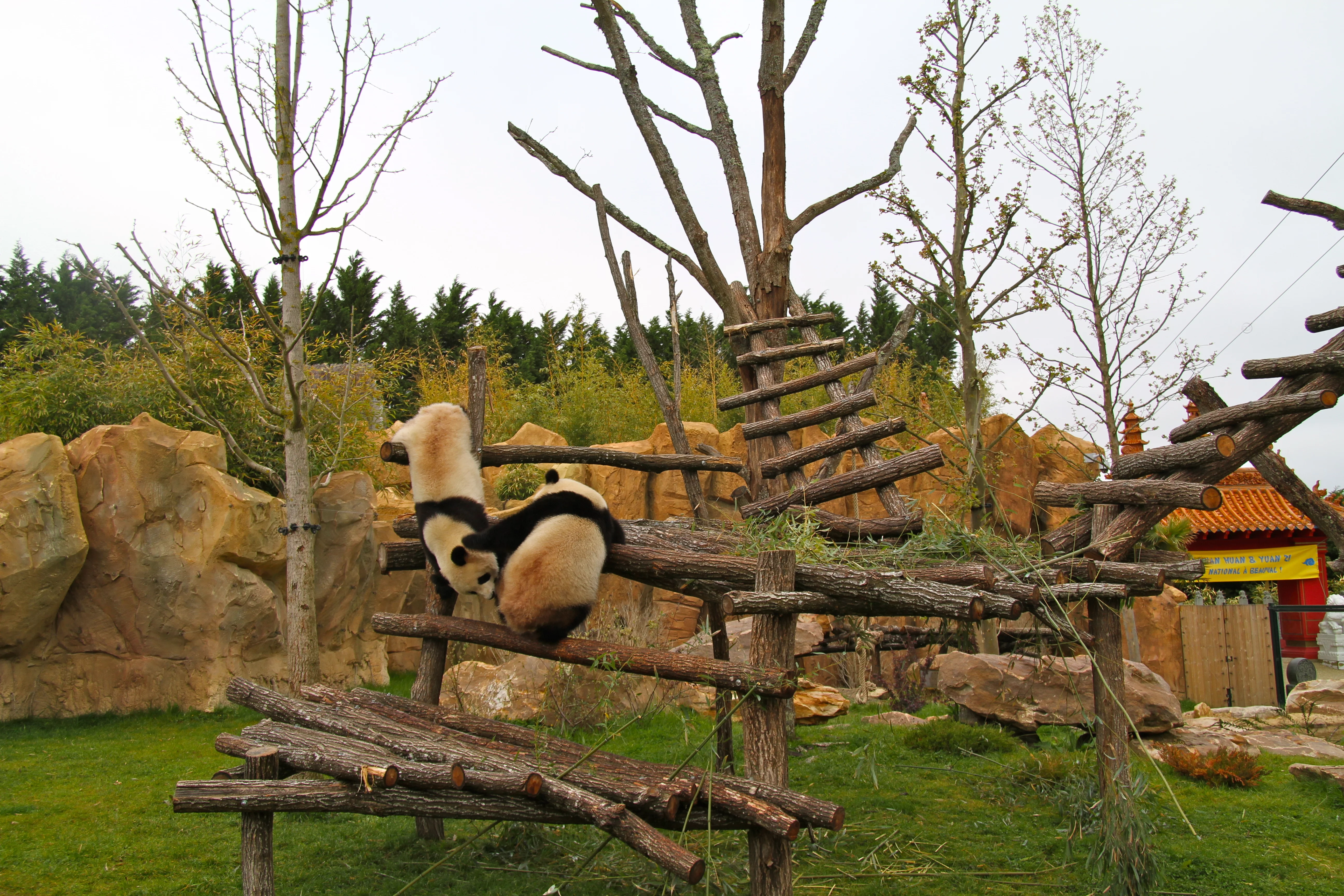 ZooParc de Beauval