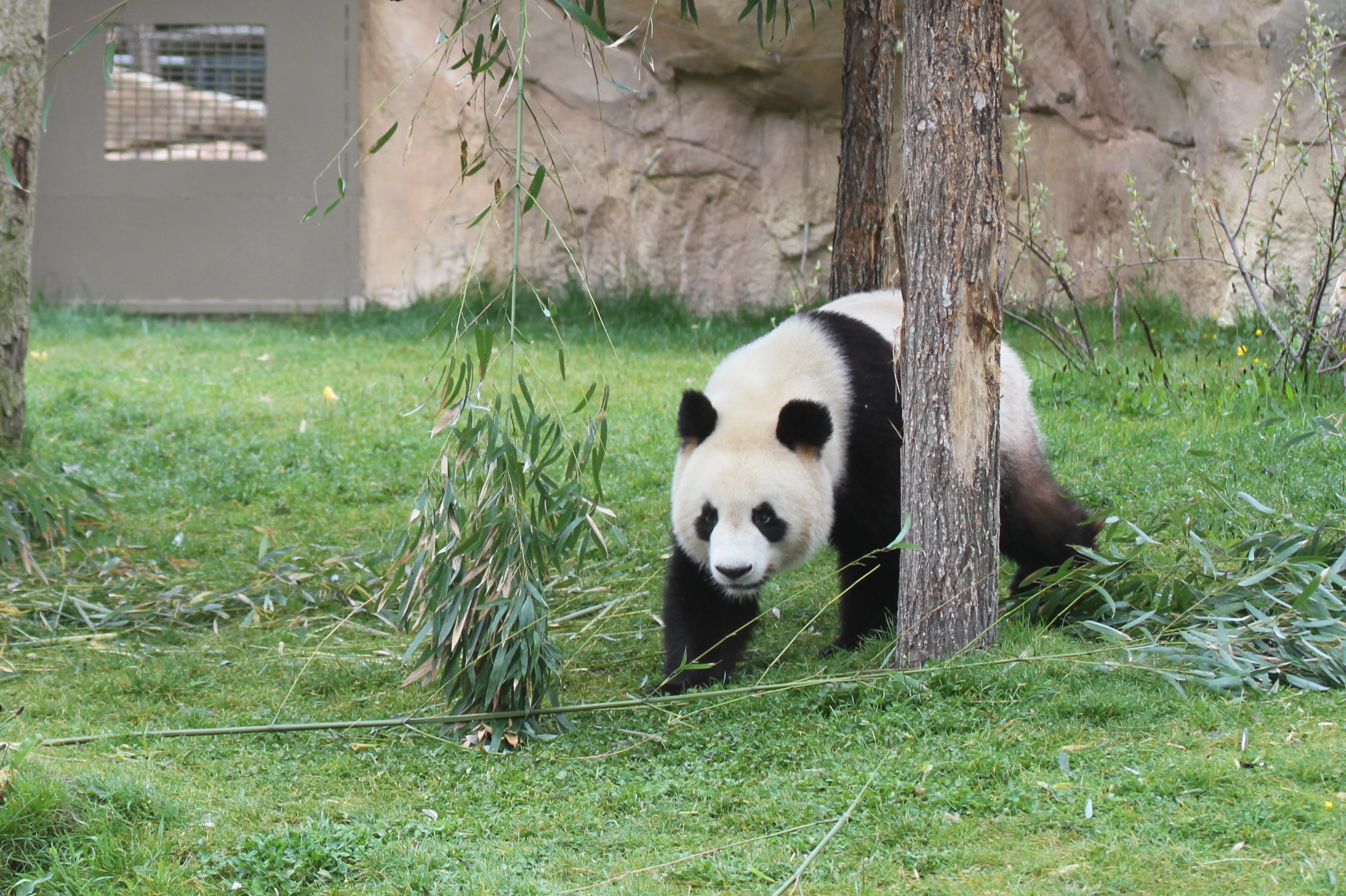 ZooParc de Beauval