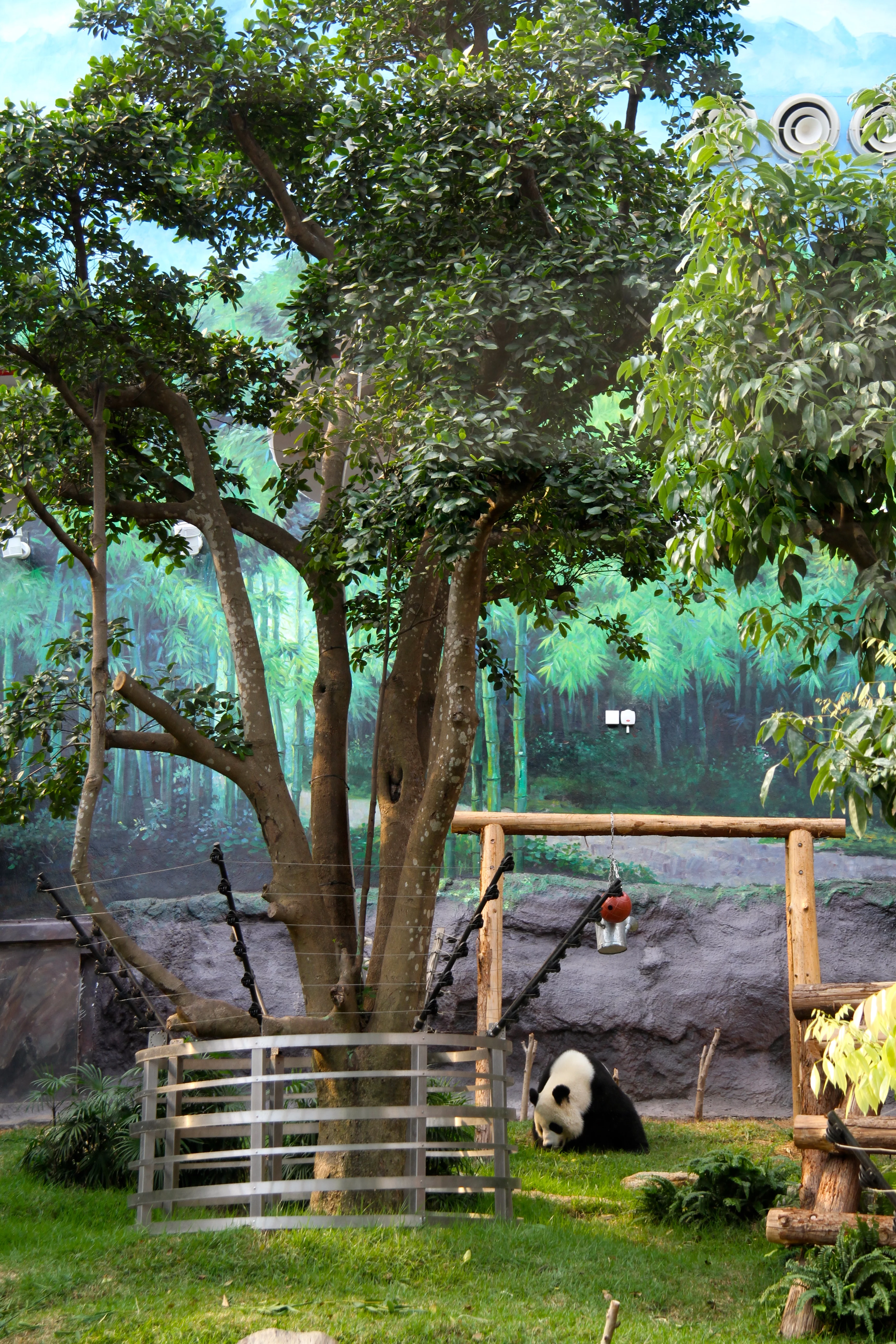 Parque de Seac Pai Van