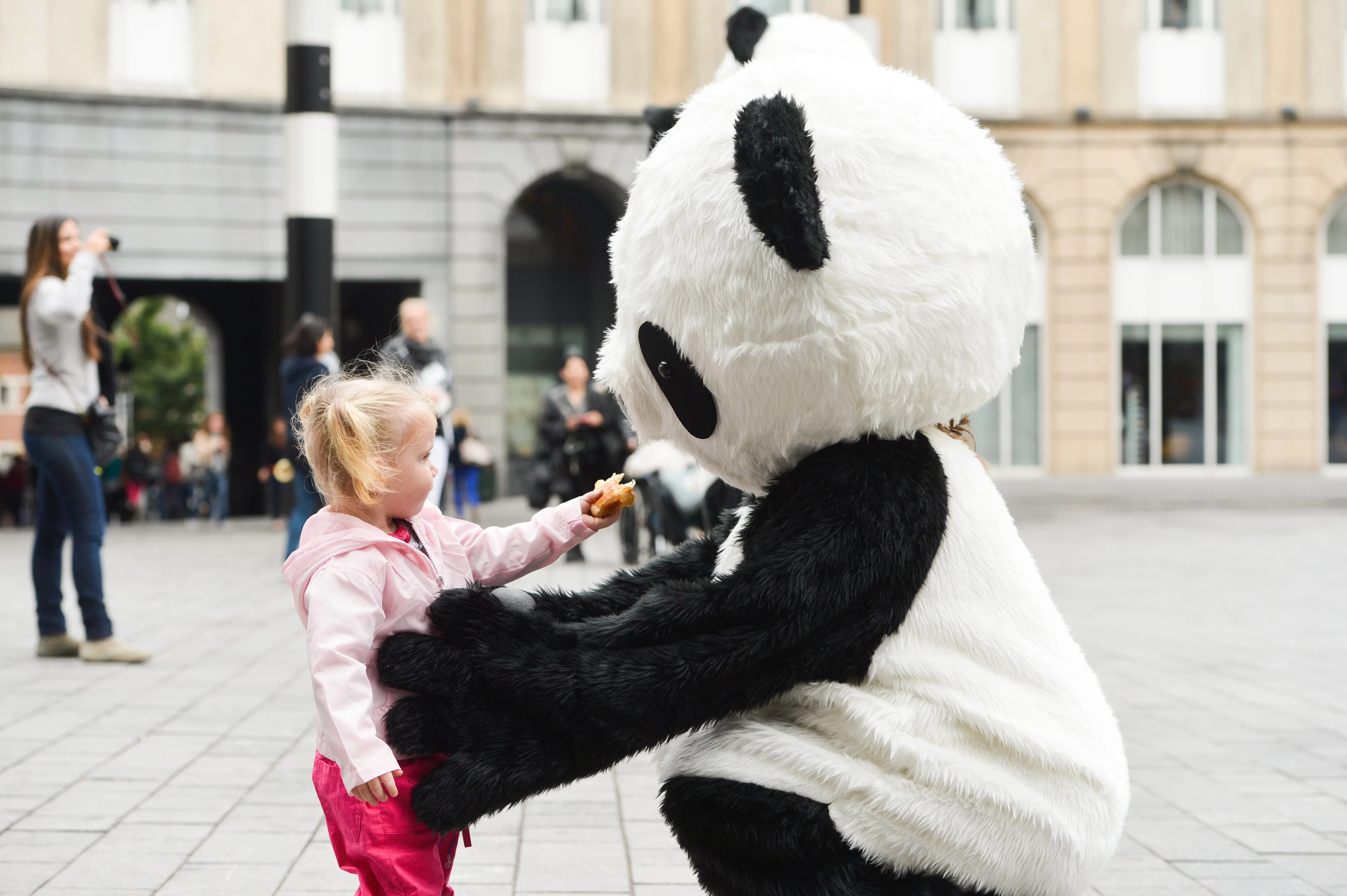 Chengdu Pambassador 2012 Promotion Tour in Brussels